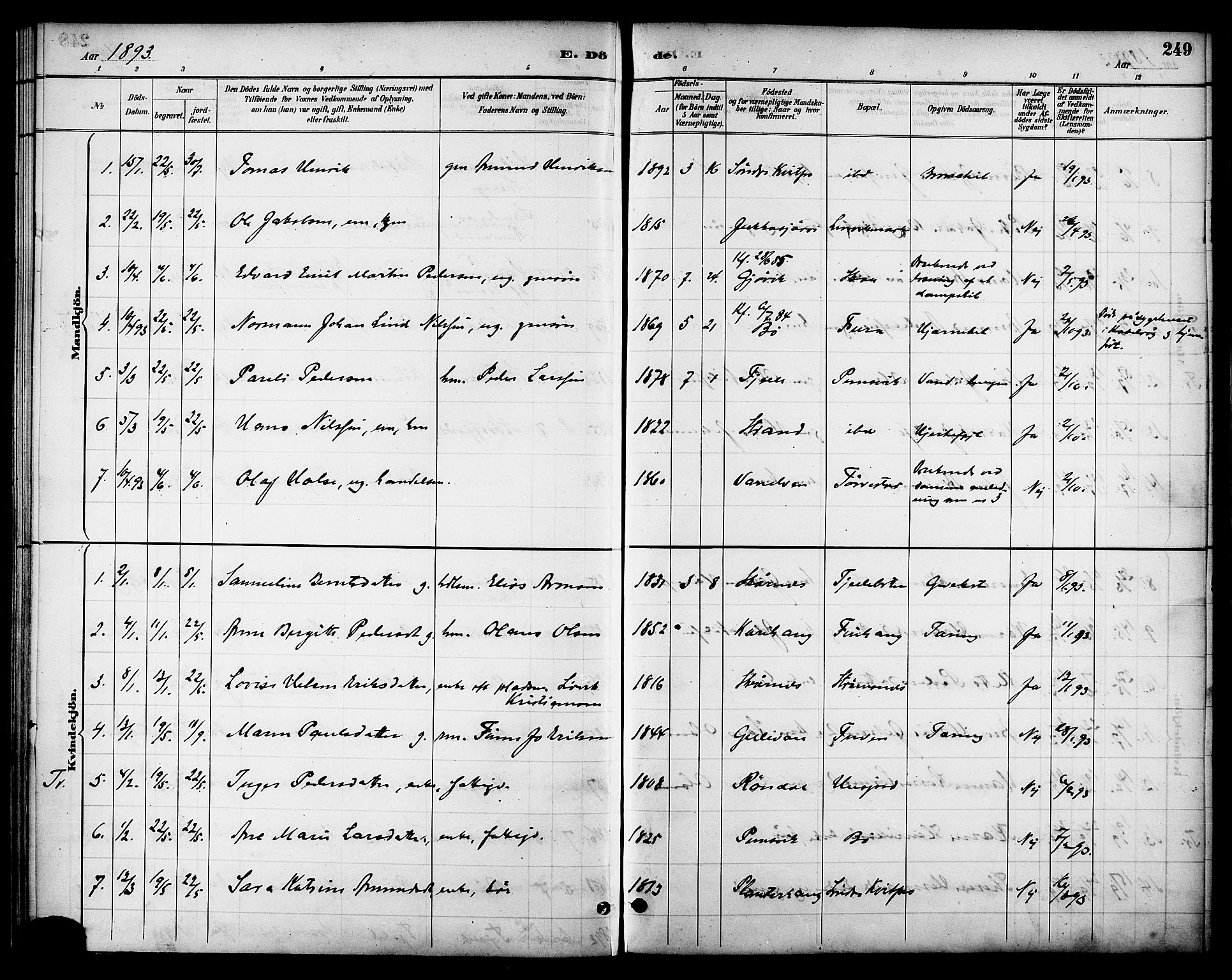 Ministerialprotokoller, klokkerbøker og fødselsregistre - Nordland, AV/SAT-A-1459/863/L0898: Parish register (official) no. 863A10, 1886-1897, p. 249