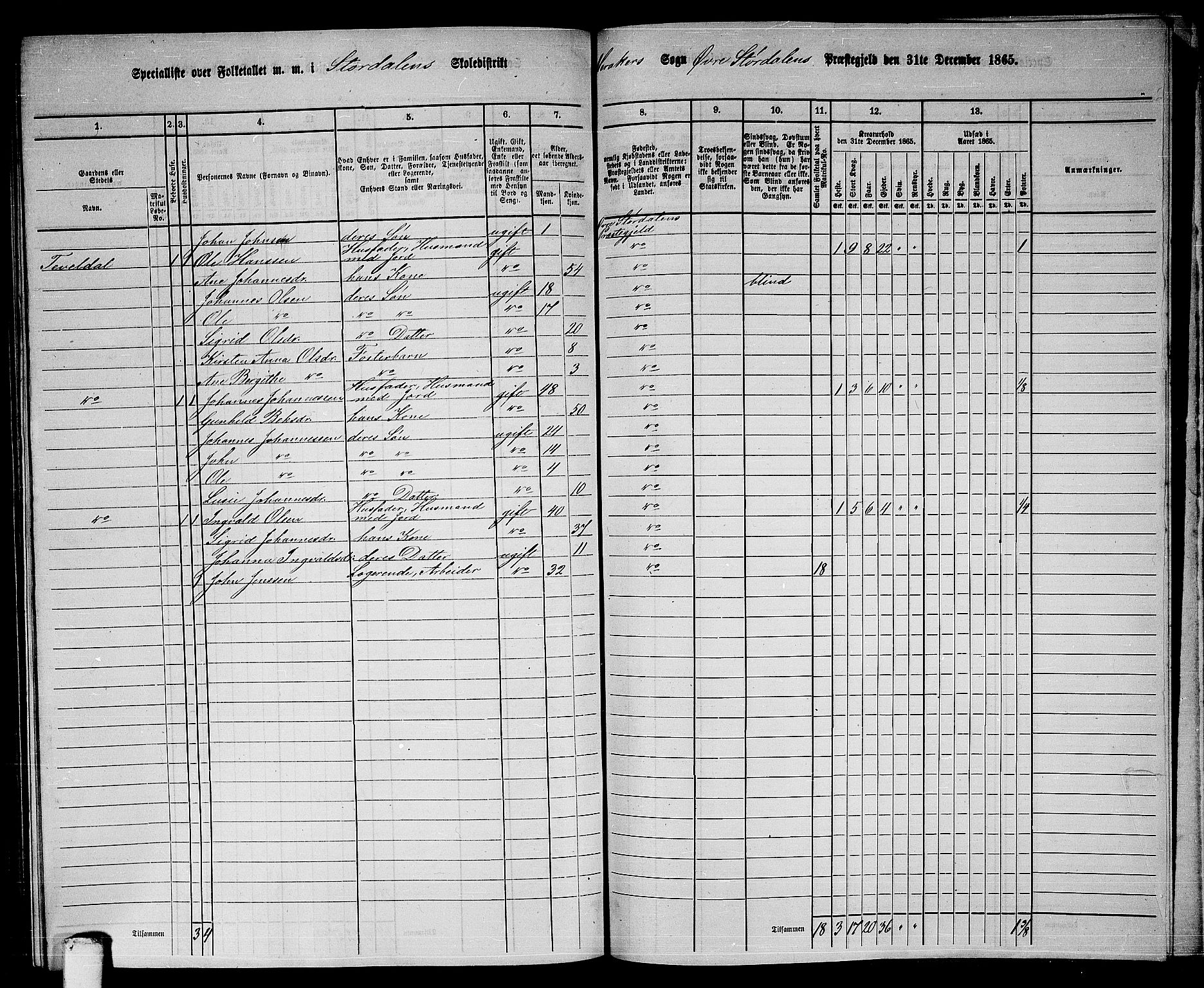 RA, 1865 census for Øvre Stjørdal, 1865, p. 204