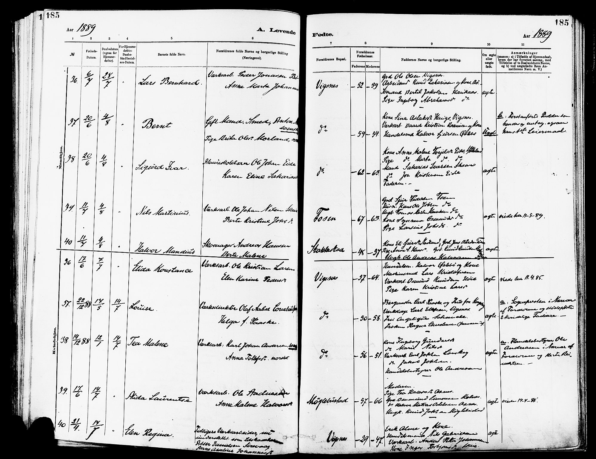 Avaldsnes sokneprestkontor, SAST/A -101851/H/Ha/Haa/L0014: Parish register (official) no. A 14, 1880-1889, p. 185