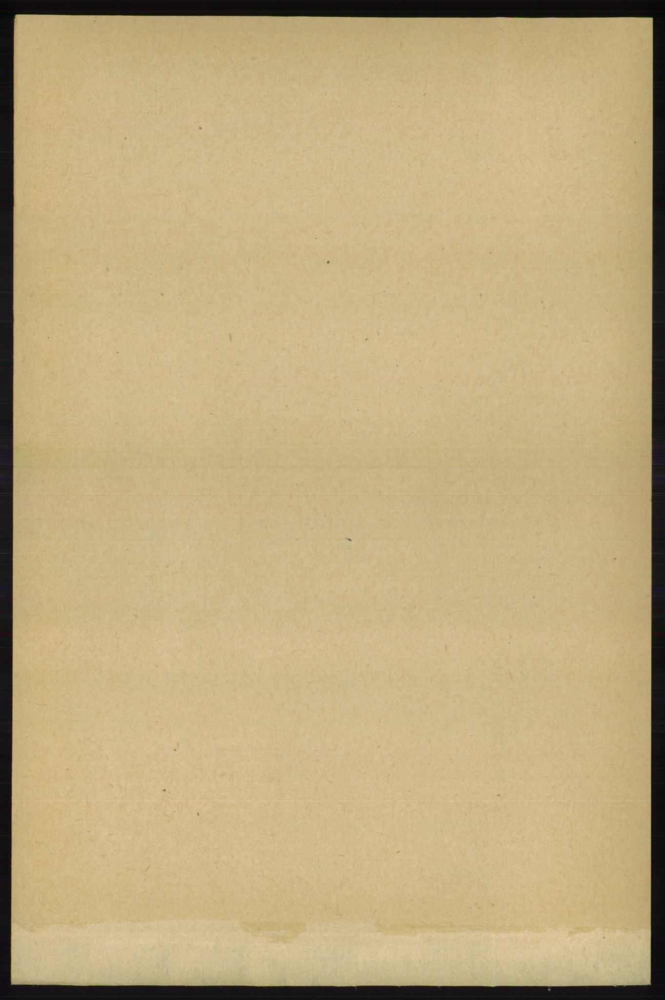 RA, 1891 census for 1139 Nedstrand, 1891, p. 446