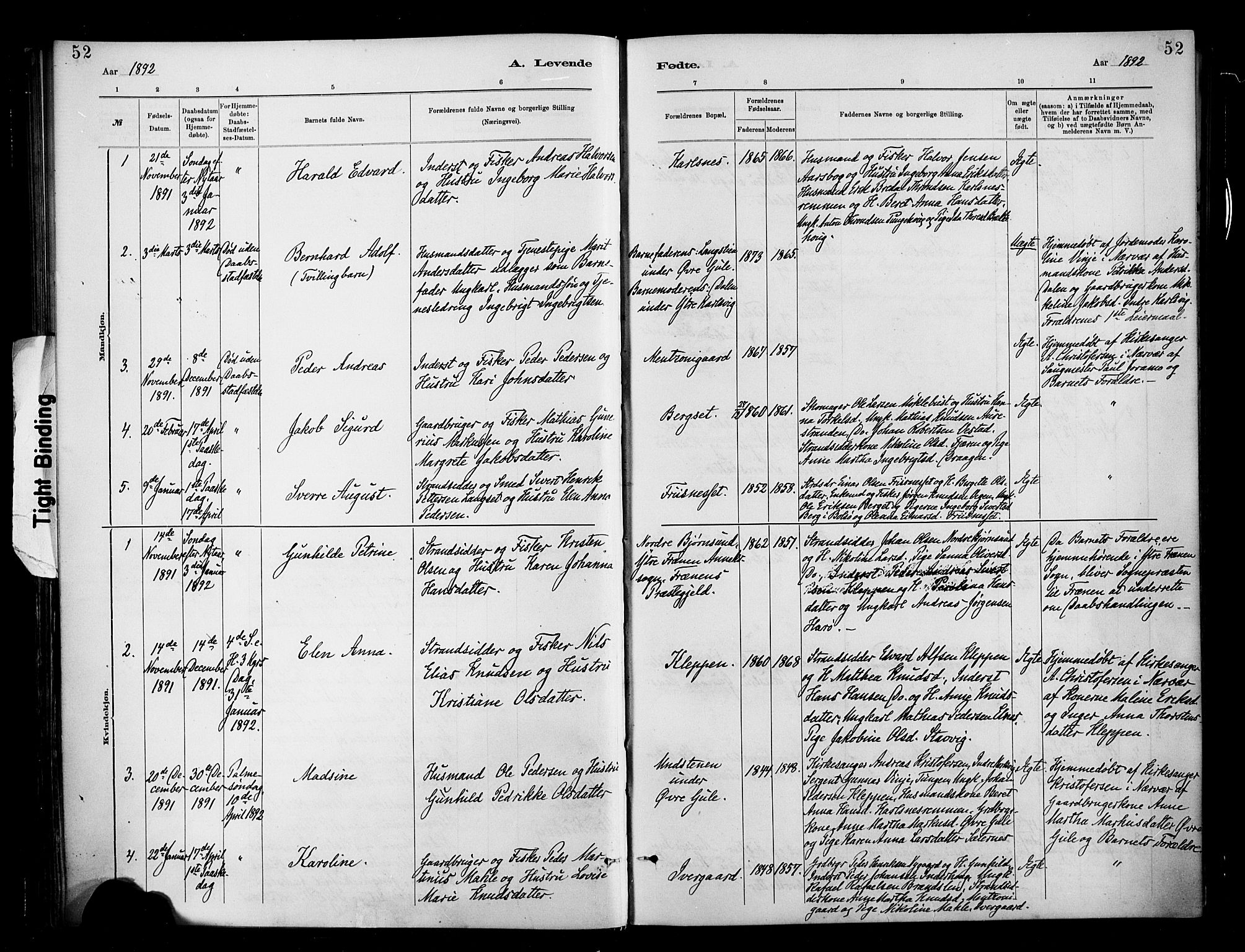 Ministerialprotokoller, klokkerbøker og fødselsregistre - Møre og Romsdal, SAT/A-1454/566/L0769: Parish register (official) no. 566A08, 1881-1903, p. 52