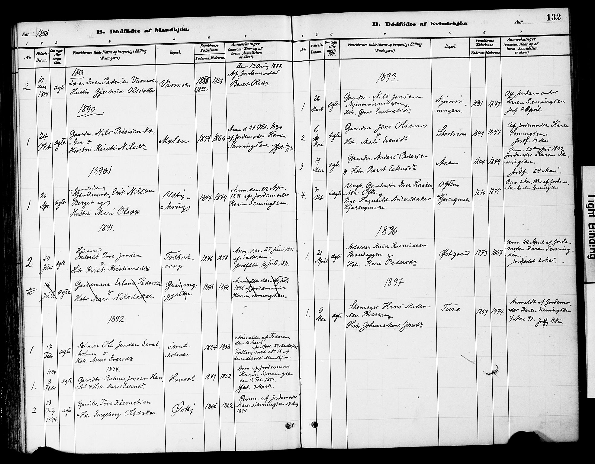 Tynset prestekontor, SAH/PREST-058/H/Ha/Haa/L0022: Parish register (official) no. 22, 1880-1899, p. 132