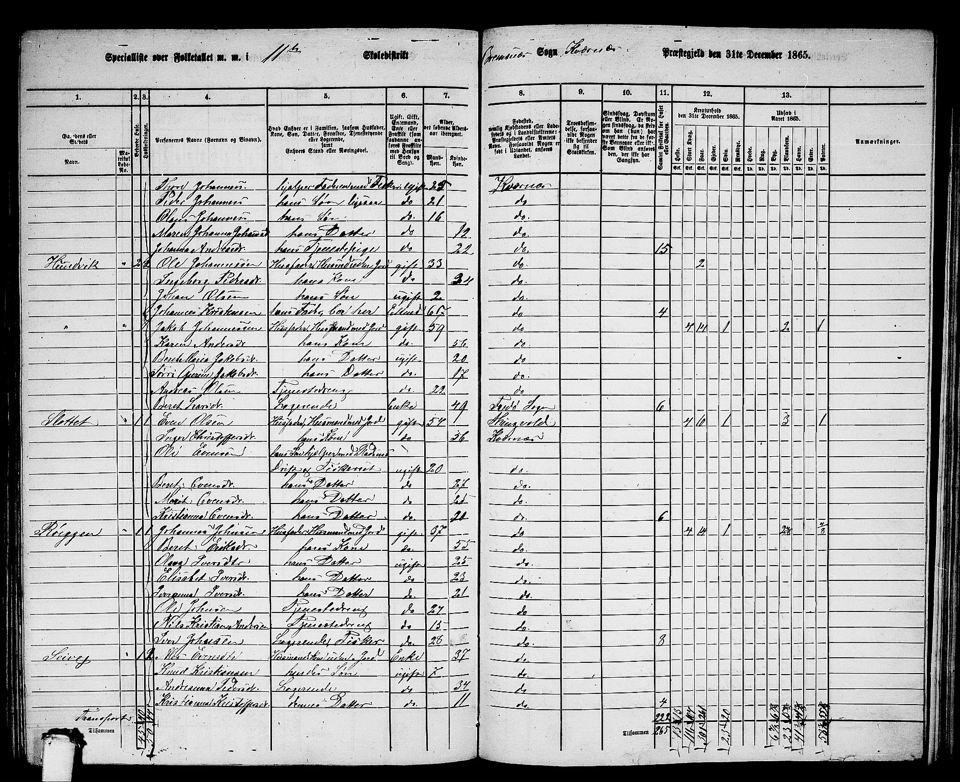 RA, 1865 census for Kvernes, 1865, p. 201