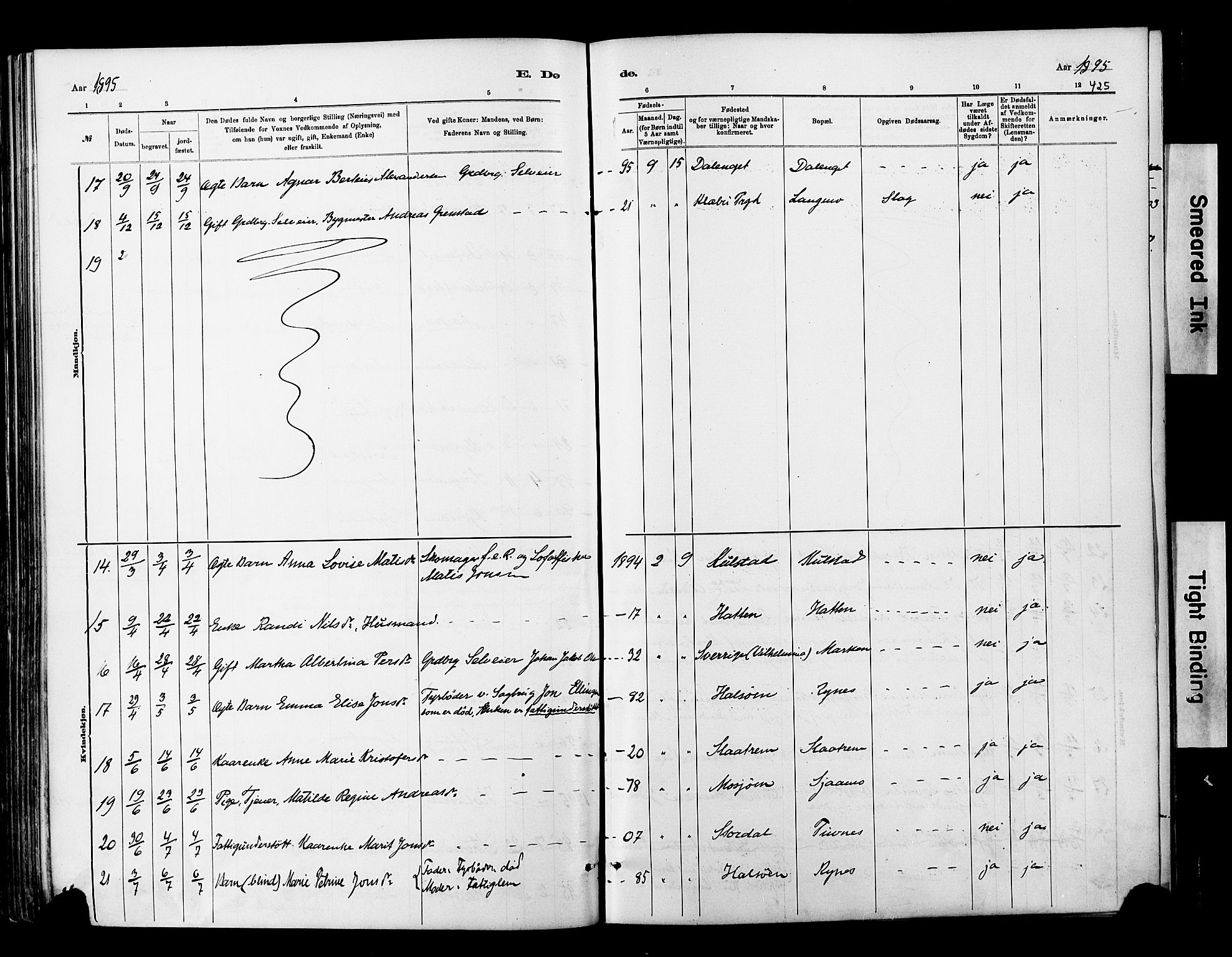 Ministerialprotokoller, klokkerbøker og fødselsregistre - Nordland, AV/SAT-A-1459/820/L0295: Parish register (official) no. 820A16, 1880-1896, p. 425