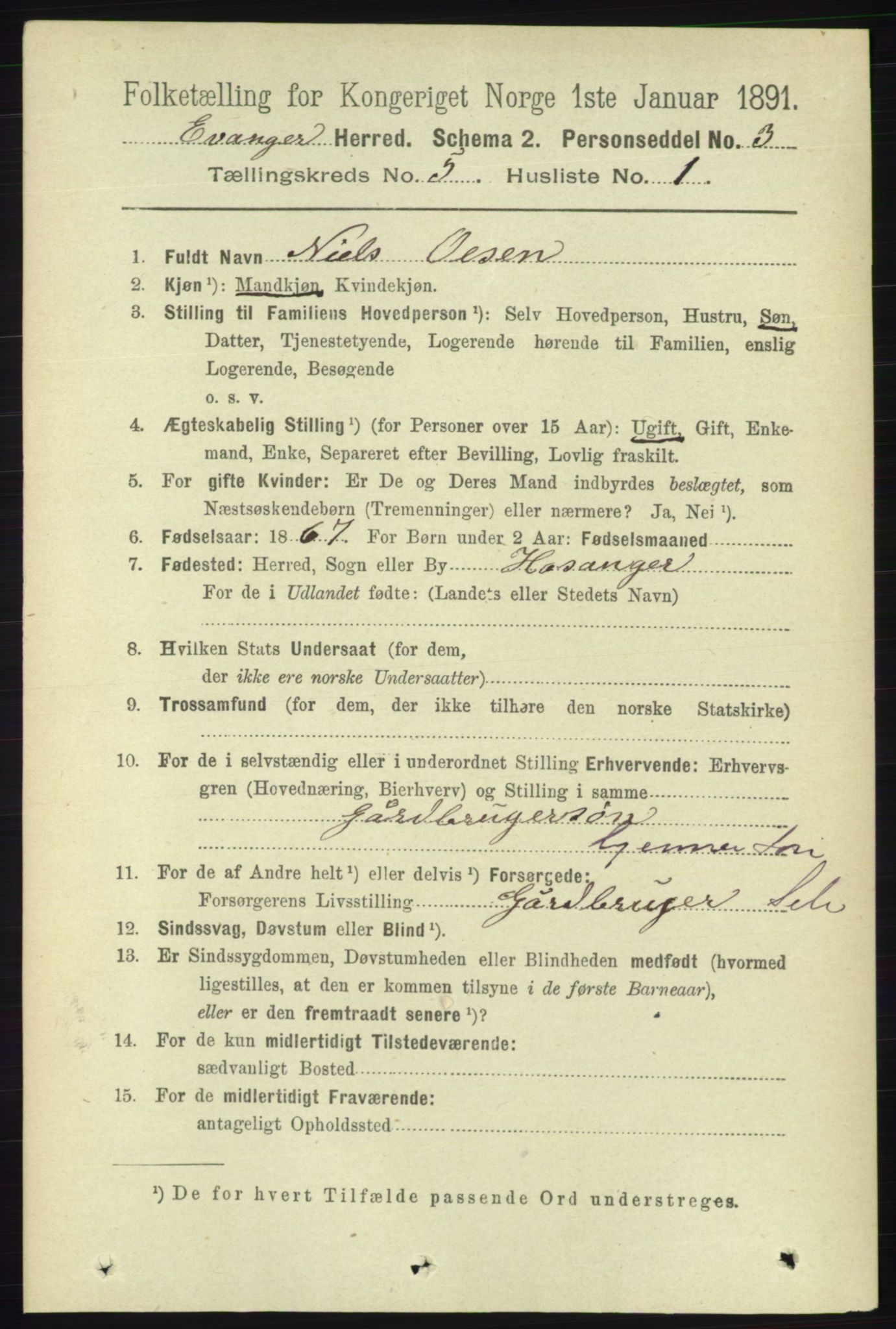 RA, 1891 census for 1237 Evanger, 1891, p. 1391