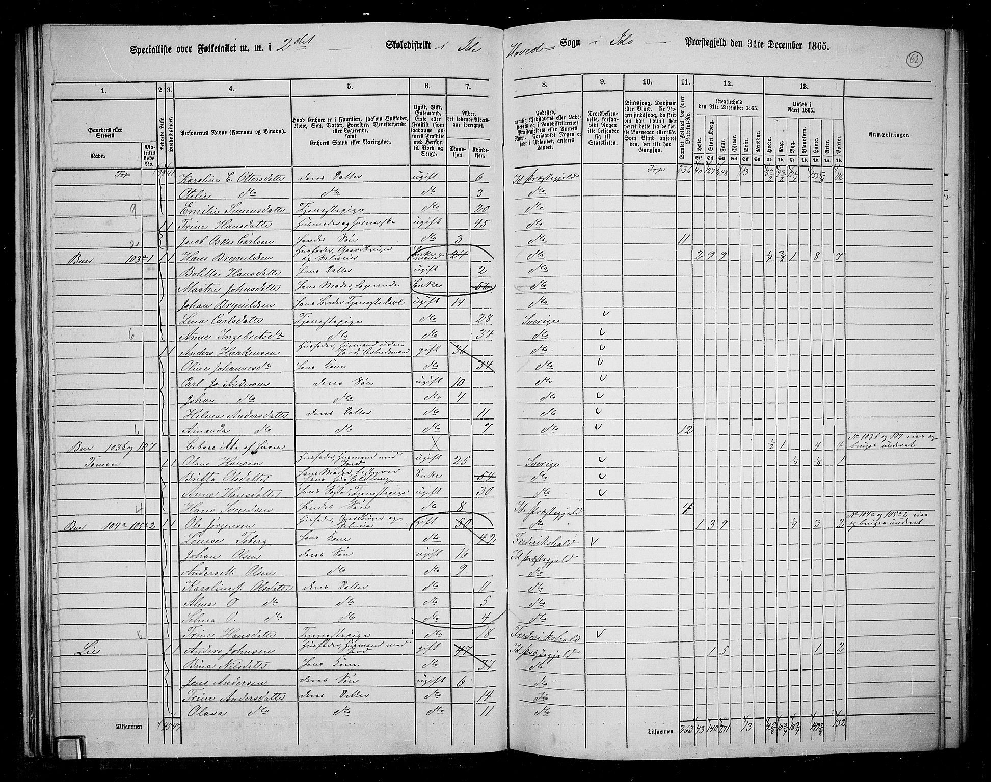 RA, 1865 census for Idd, 1865, p. 54