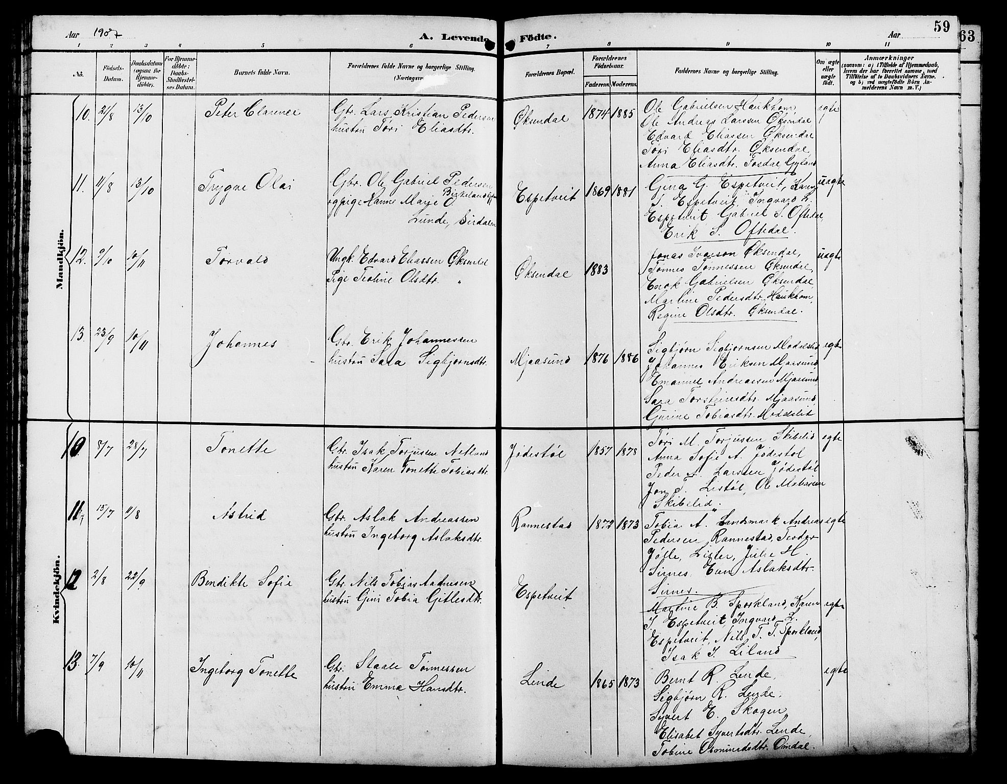 Bakke sokneprestkontor, SAK/1111-0002/F/Fb/Fba/L0003: Parish register (copy) no. B 3, 1894-1910, p. 59