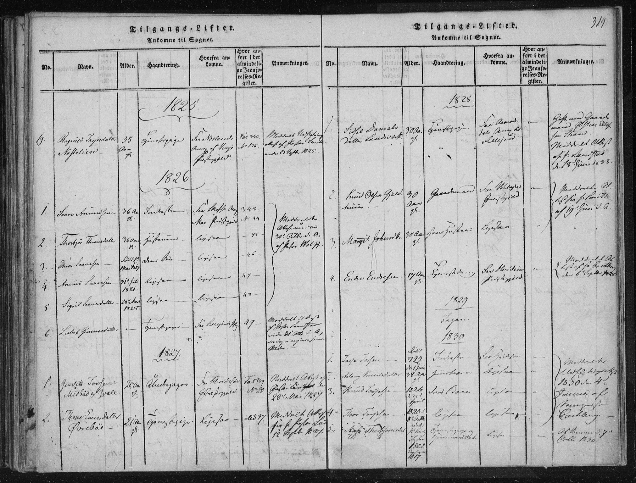 Lårdal kirkebøker, SAKO/A-284/F/Fc/L0001: Parish register (official) no. III 1, 1815-1860, p. 314