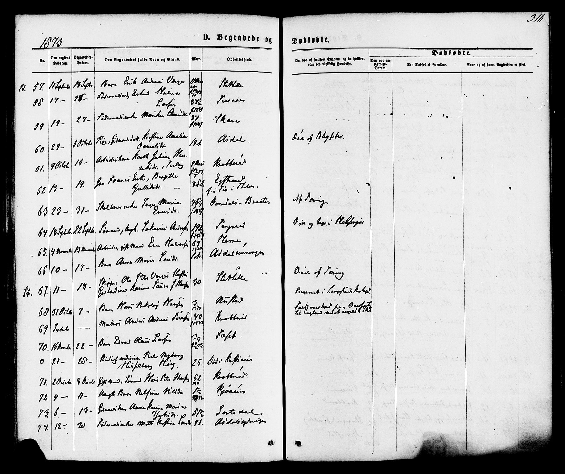 Bamble kirkebøker, AV/SAKO-A-253/F/Fa/L0006: Parish register (official) no. I 6, 1869-1877, p. 316