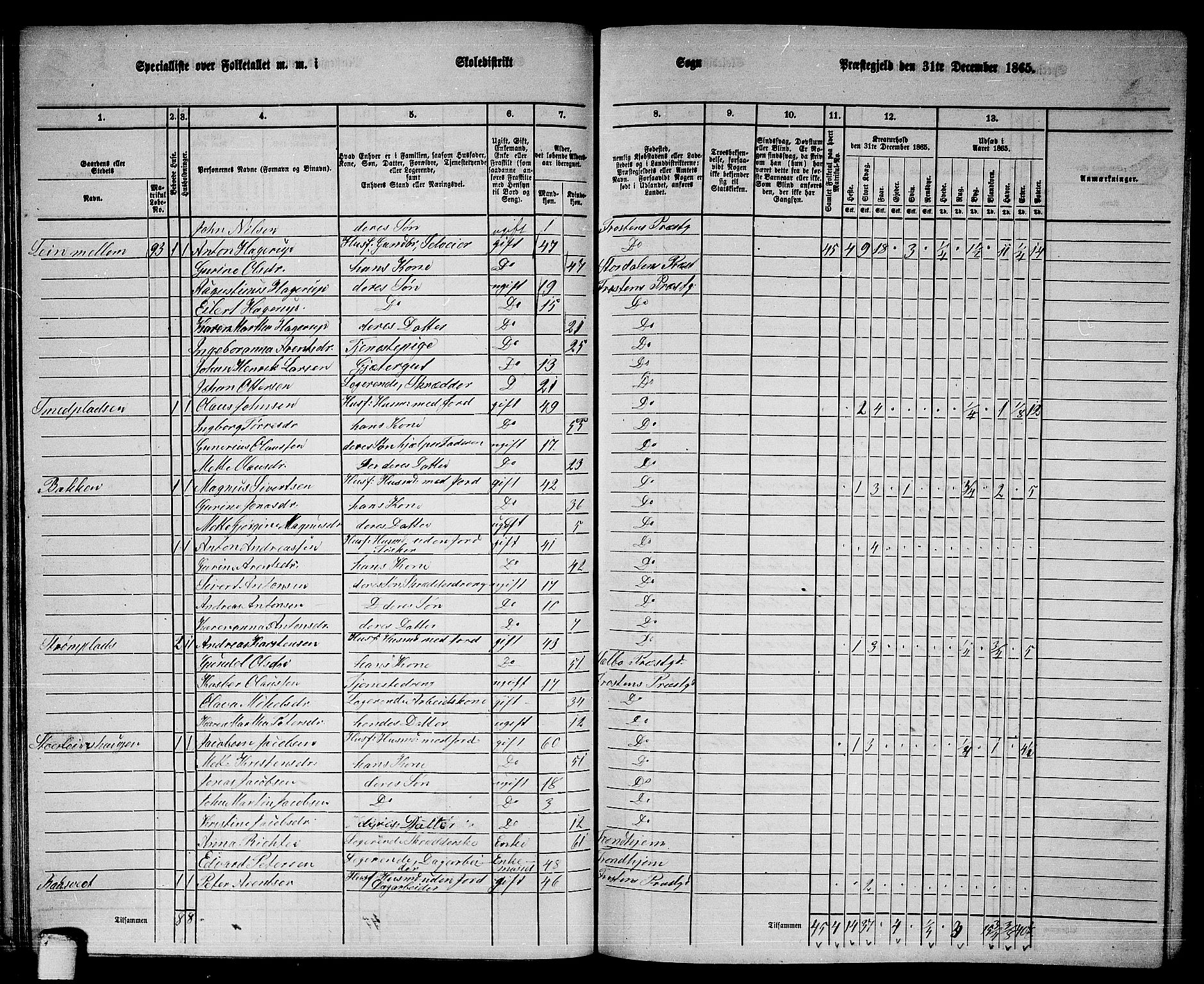 RA, 1865 census for Frosta, 1865, p. 56