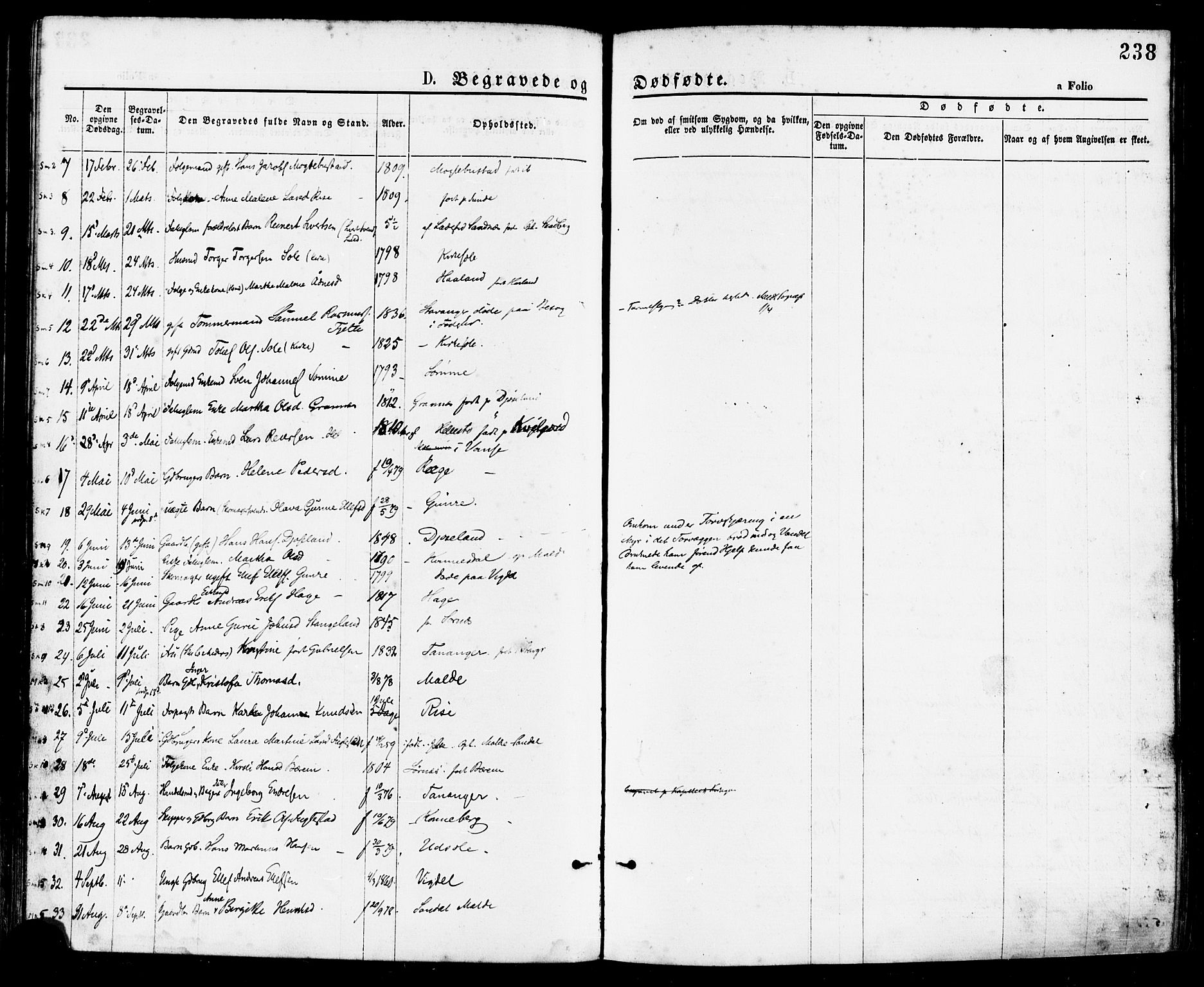 Håland sokneprestkontor, AV/SAST-A-101802/001/30BA/L0009: Parish register (official) no. A 8, 1871-1882, p. 238