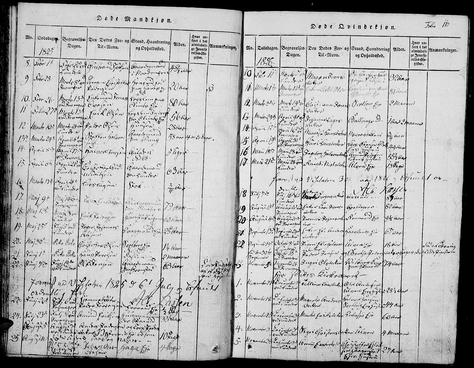 Jevnaker prestekontor, SAH/PREST-116/H/Ha/Hab/L0001: Parish register (copy) no. 1, 1815-1837, p. 110