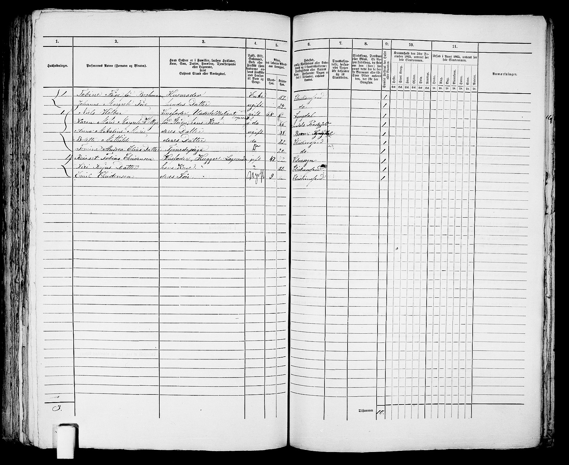 RA, 1865 census for Kristiansand, 1865, p. 377