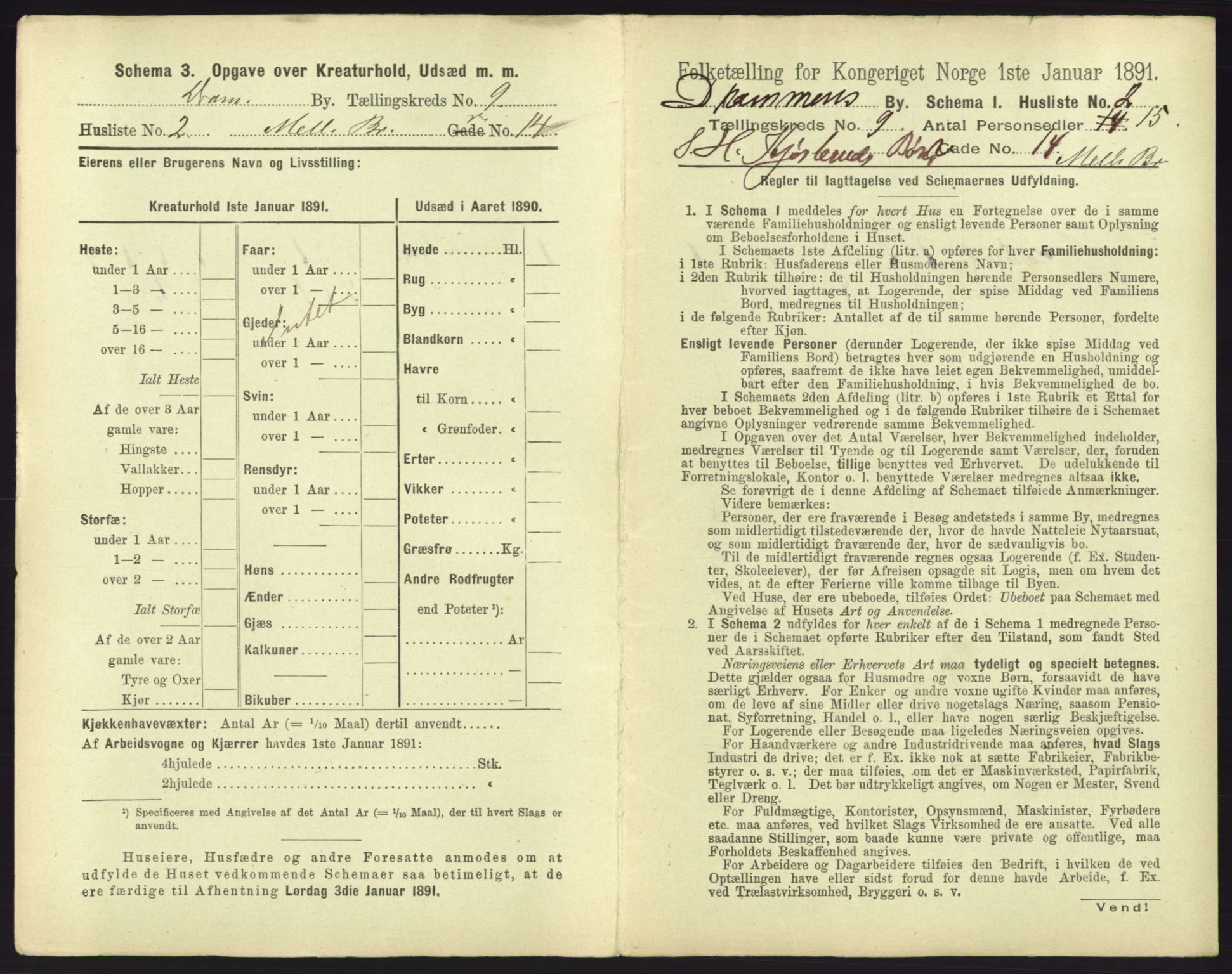 RA, 1891 census for 0602 Drammen, 1891, p. 747