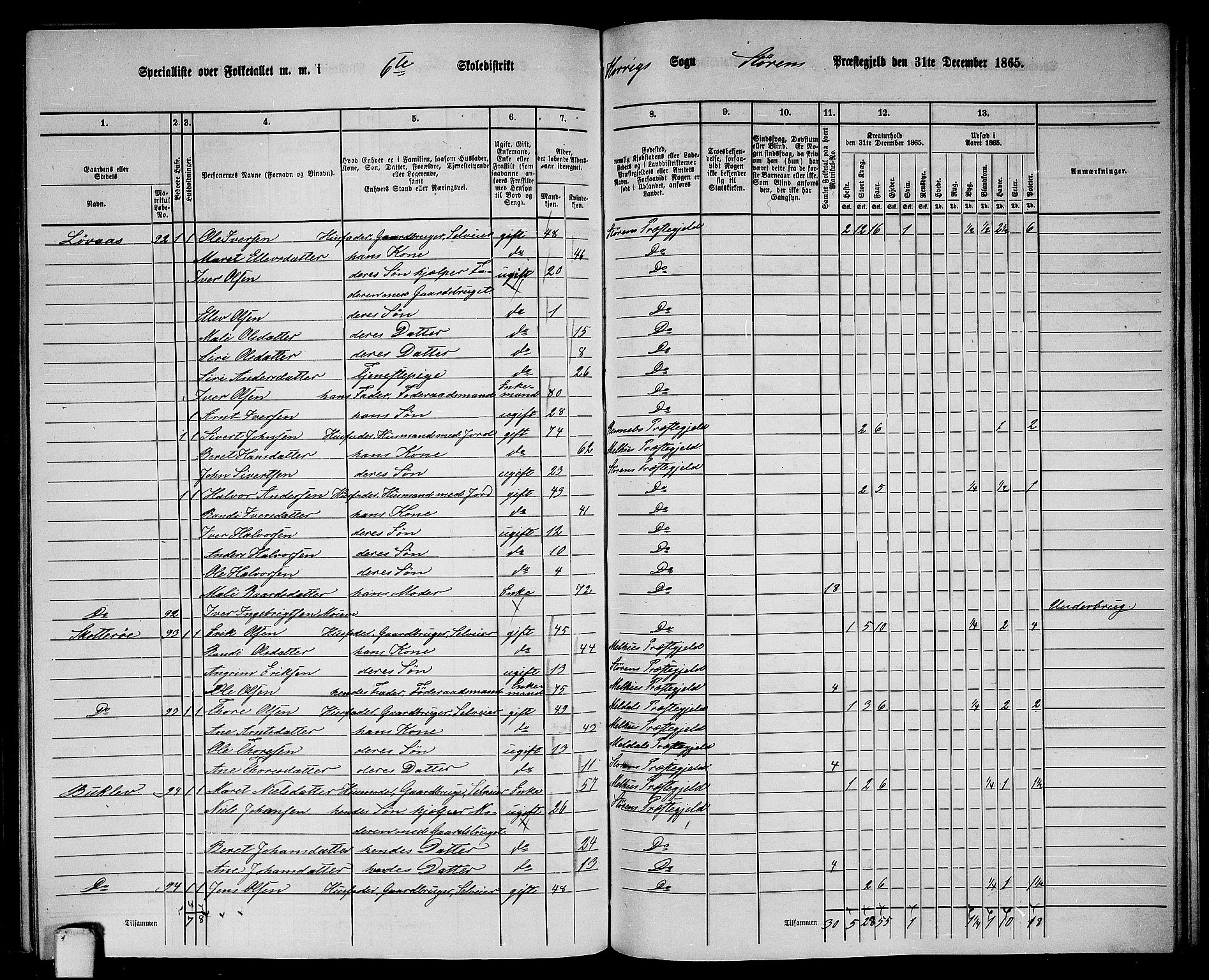 RA, 1865 census for Støren, 1865, p. 210