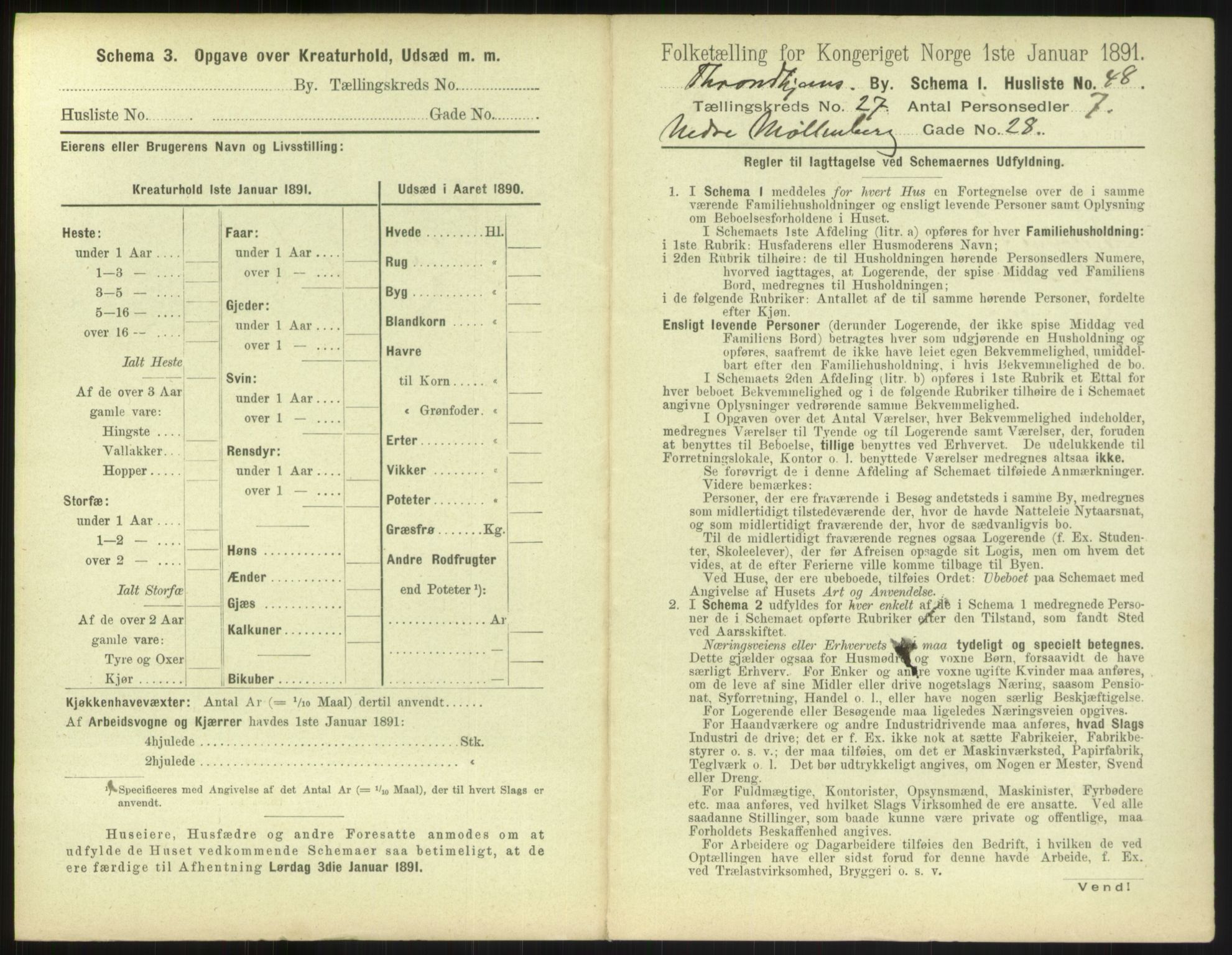 RA, 1891 census for 1601 Trondheim, 1891, p. 1978