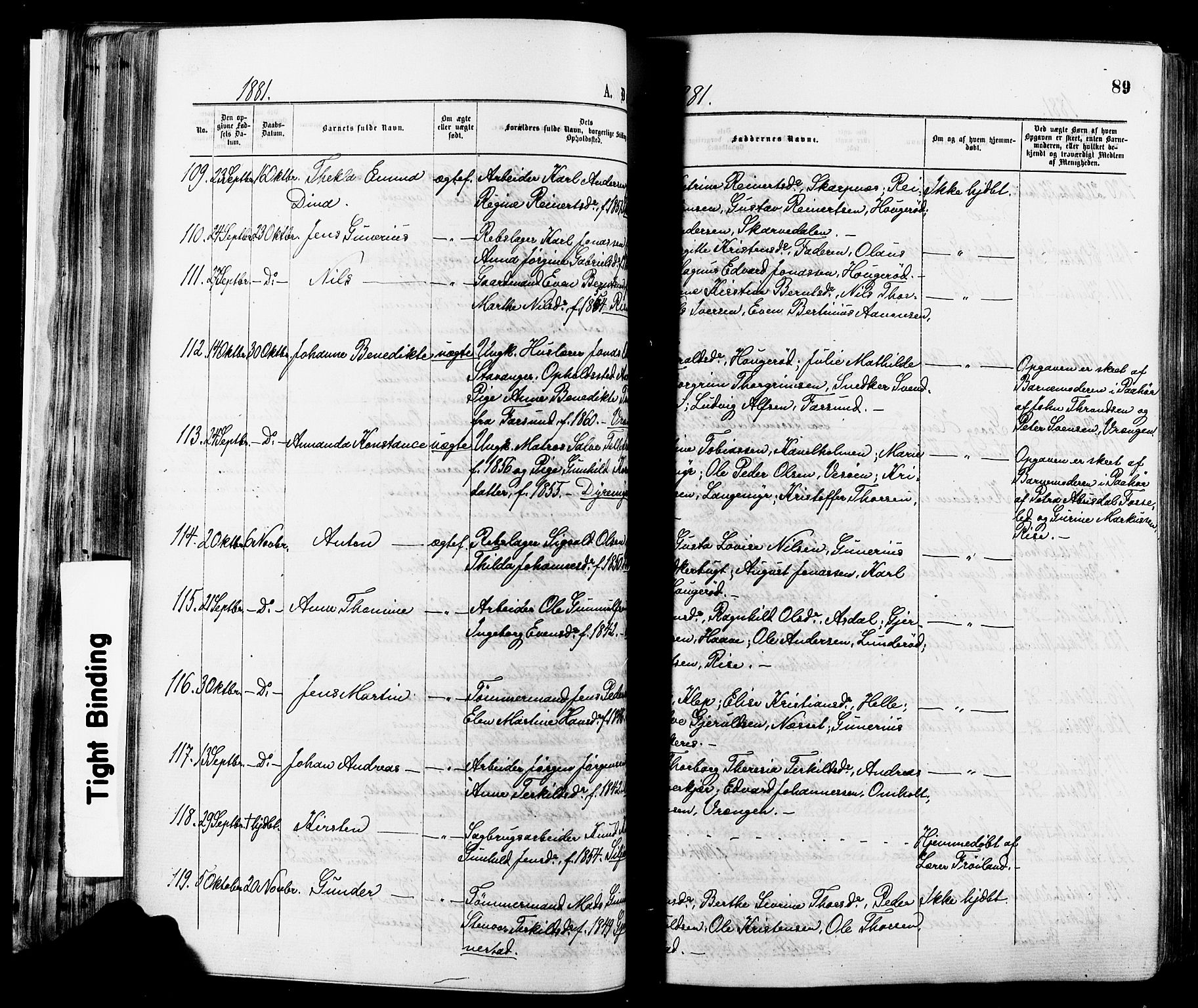 Øyestad sokneprestkontor, AV/SAK-1111-0049/F/Fa/L0016: Parish register (official) no. A 16, 1874-1886, p. 89