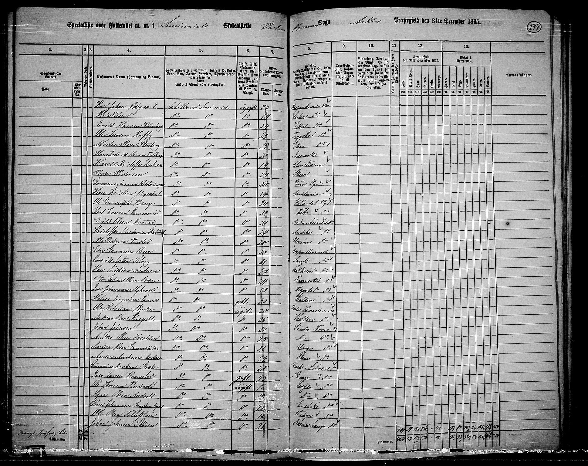 RA, 1865 census for Asker, 1865, p. 262