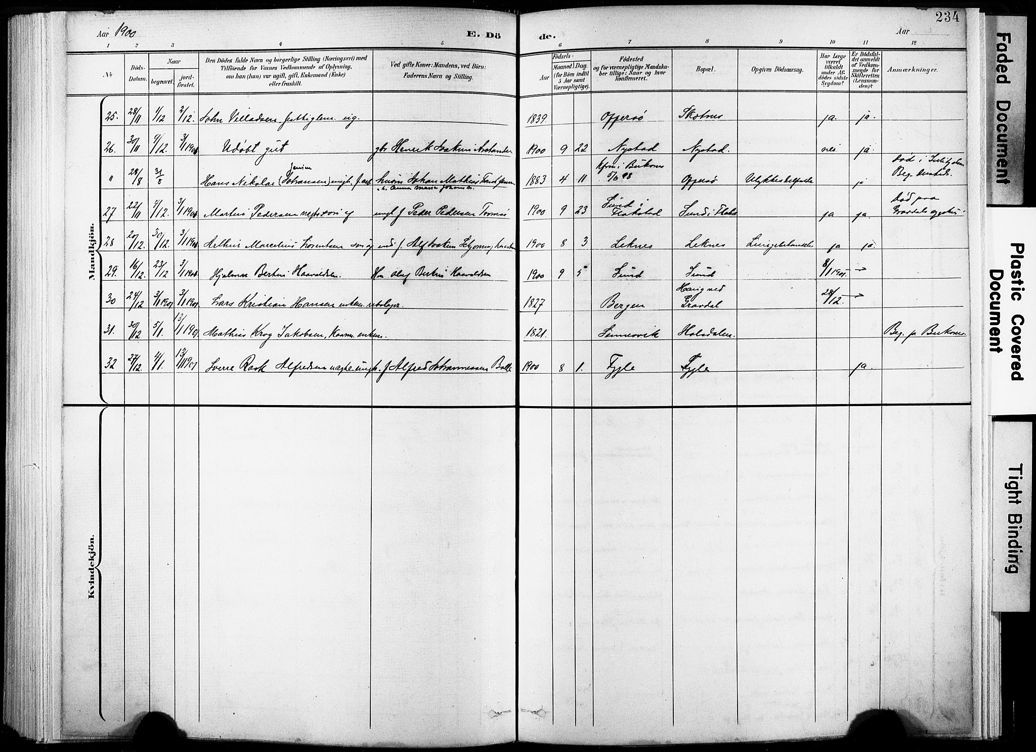 Ministerialprotokoller, klokkerbøker og fødselsregistre - Nordland, AV/SAT-A-1459/881/L1151: Parish register (official) no. 881A04, 1899-1907, p. 234