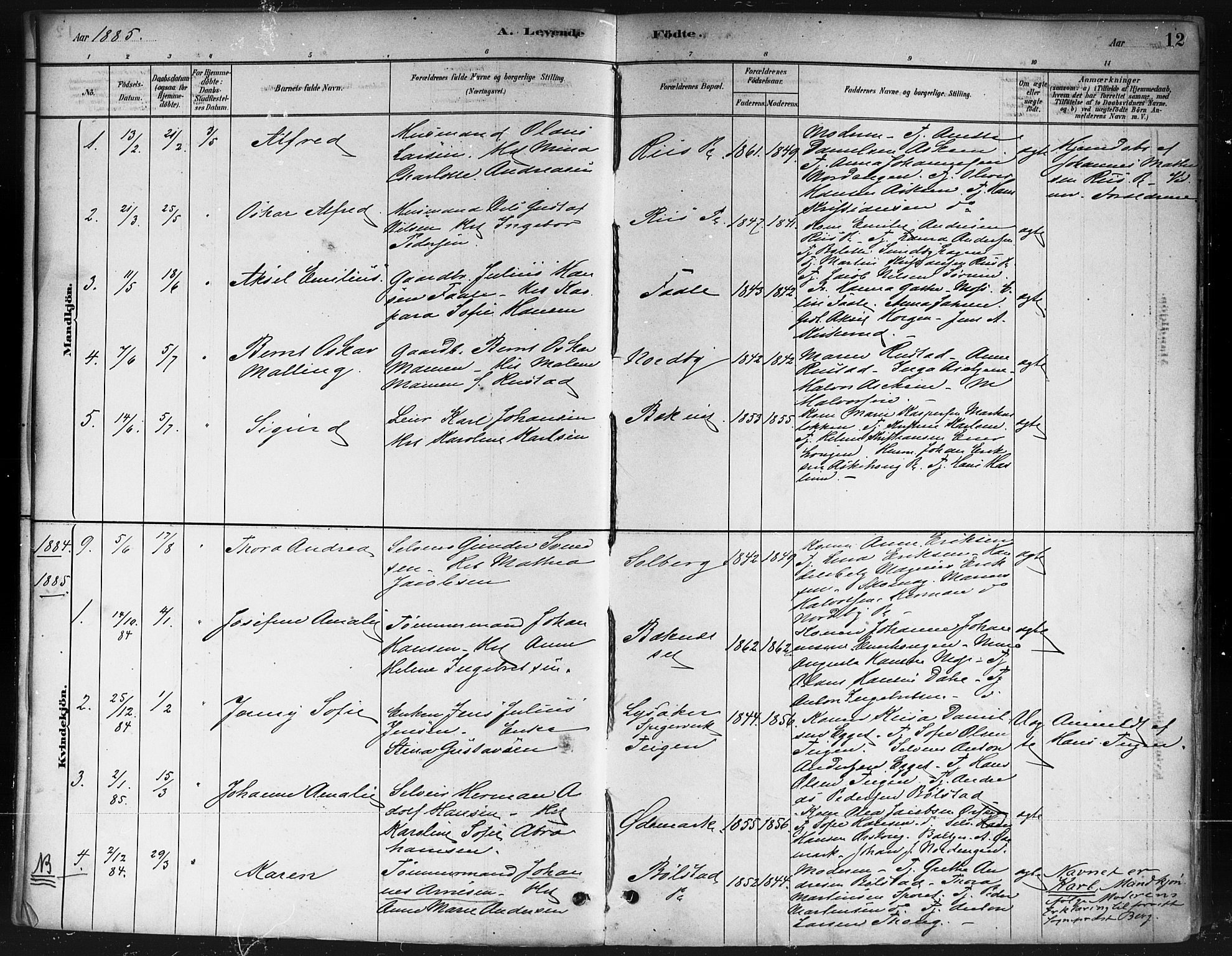 Ås prestekontor Kirkebøker, AV/SAO-A-10894/F/Fb/L0001: Parish register (official) no. II 1, 1881-1895, p. 12