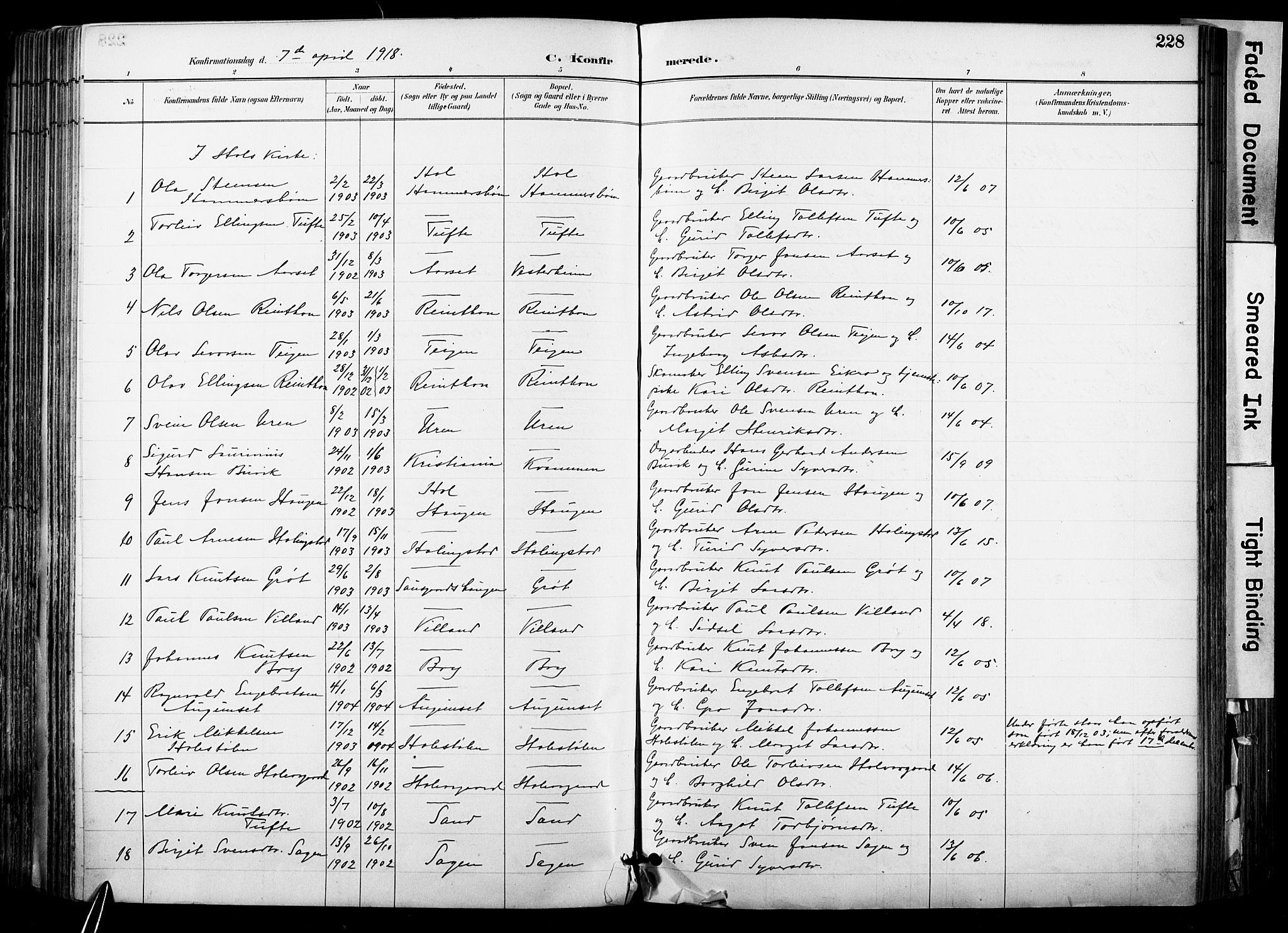 Hol kirkebøker, AV/SAKO-A-227/F/Fa/L0003: Parish register (official) no. I 3, 1887-1918, p. 228