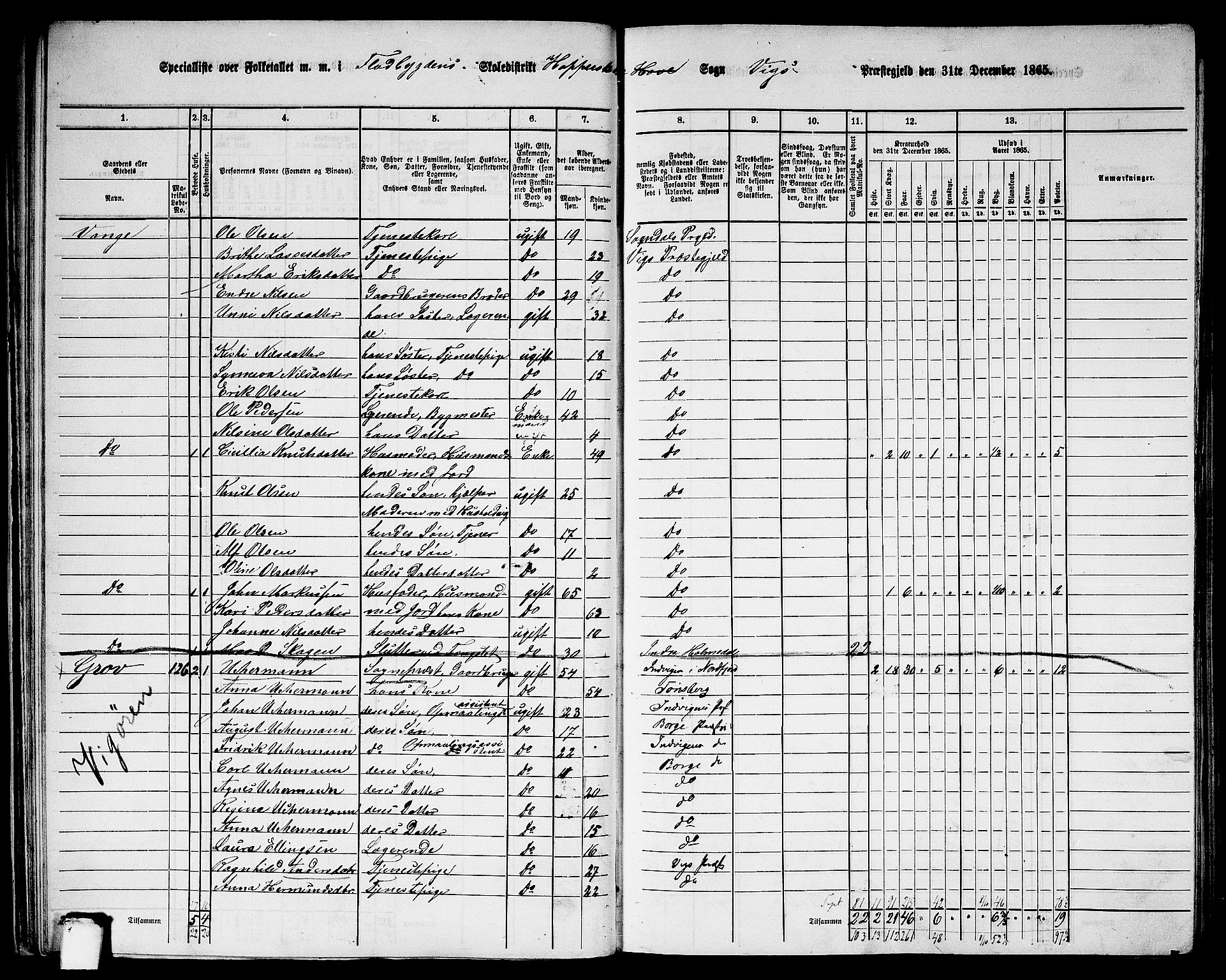 RA, 1865 census for Vik, 1865, p. 35