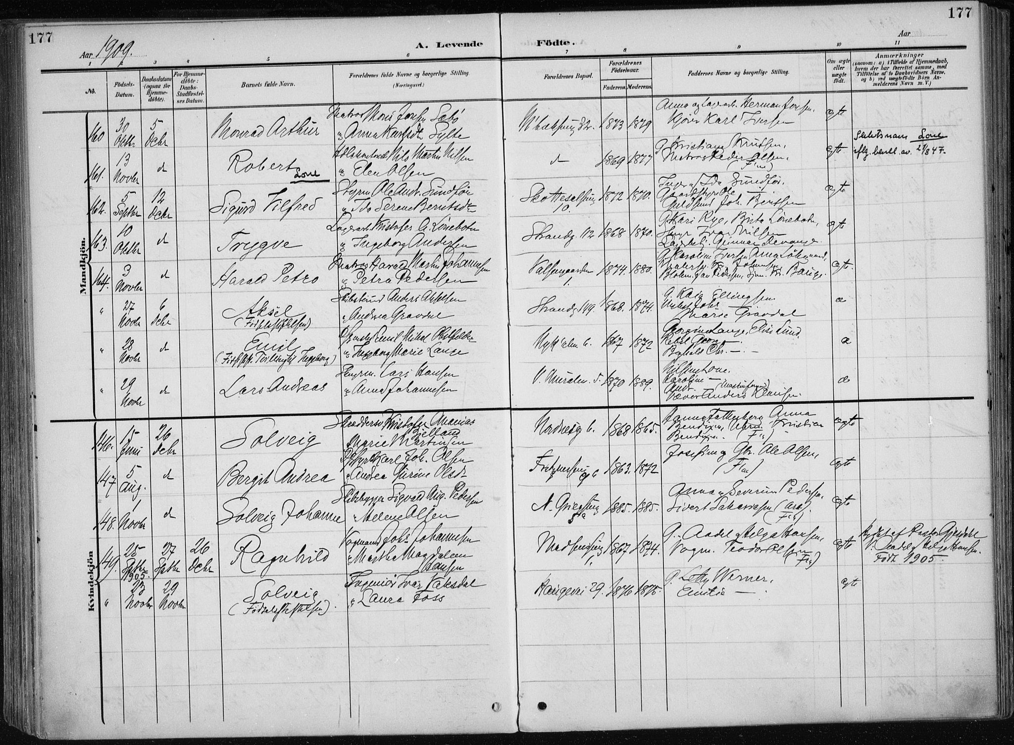 Nykirken Sokneprestembete, AV/SAB-A-77101/H/Haa/L0019: Parish register (official) no. B 7, 1904-1916, p. 177