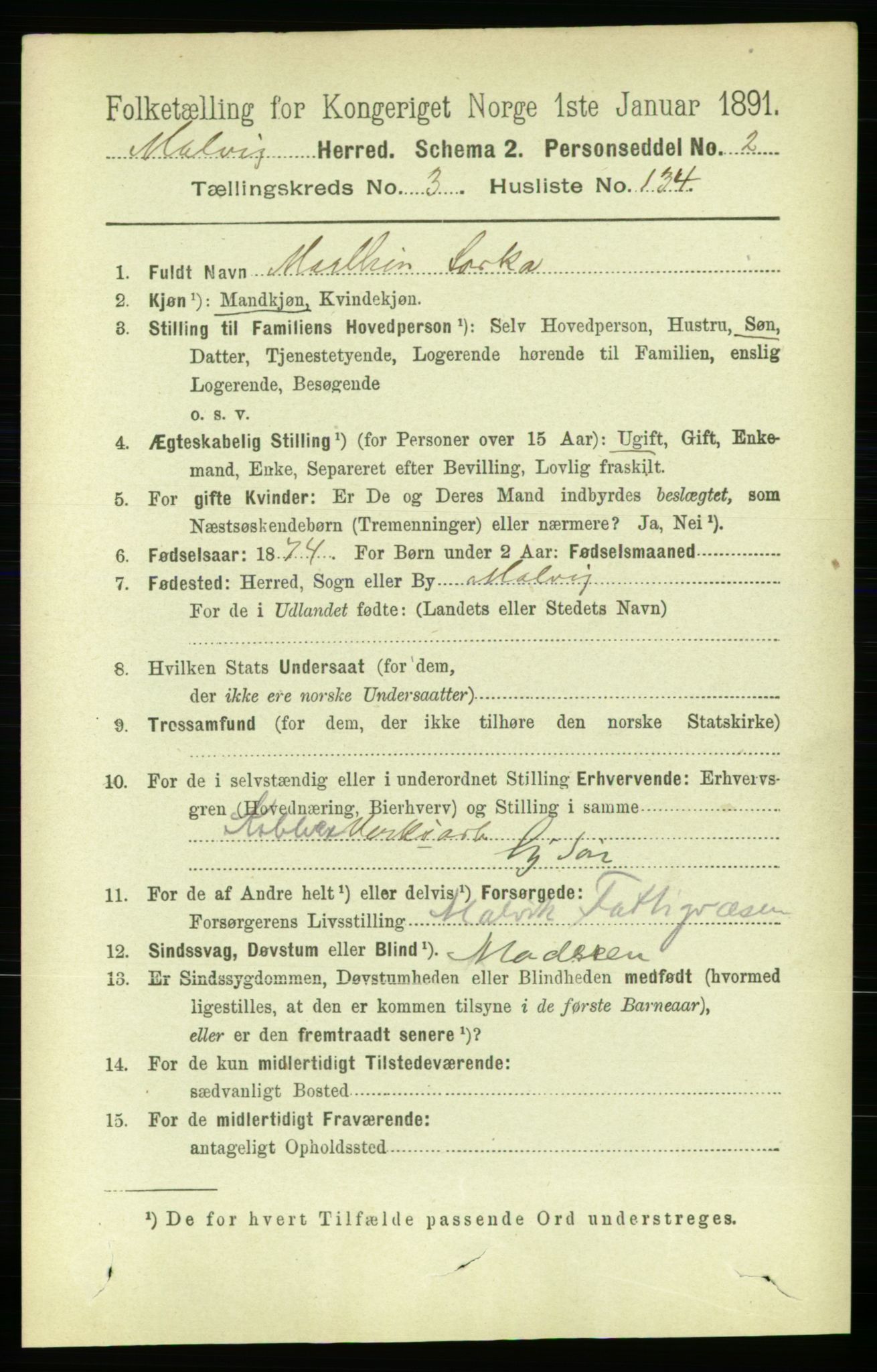 RA, 1891 census for 1663 Malvik, 1891, p. 2634