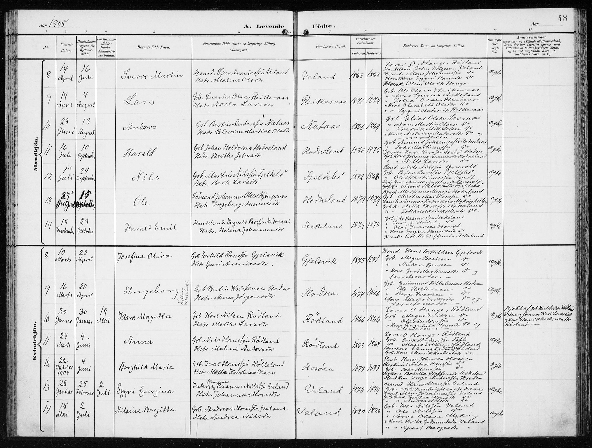 Lindås Sokneprestembete, AV/SAB-A-76701/H/Haa/Haaf/L0002: Parish register (official) no. F  2, 1897-1909, p. 48