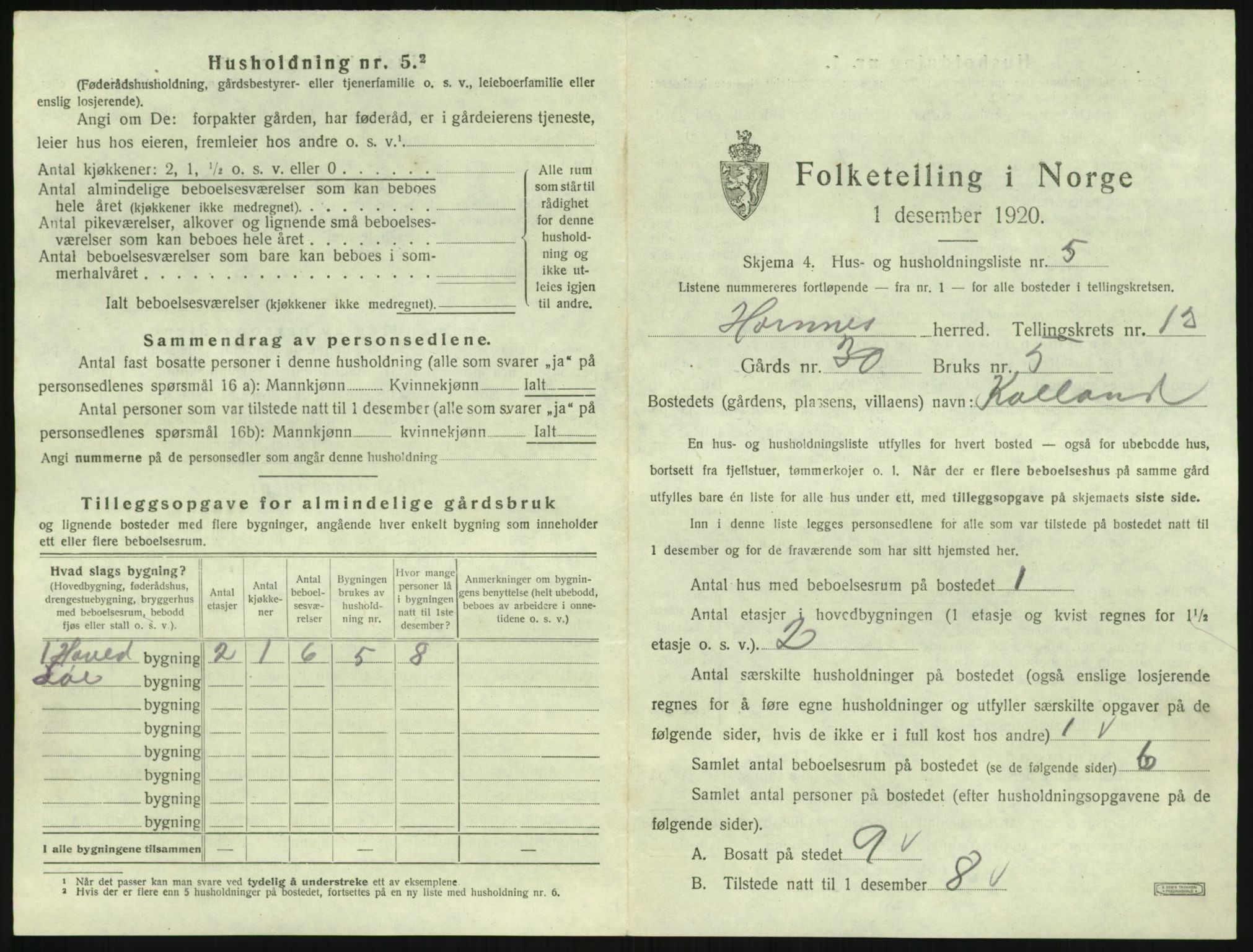 SAK, 1920 census for Hornnes, 1920, p. 513