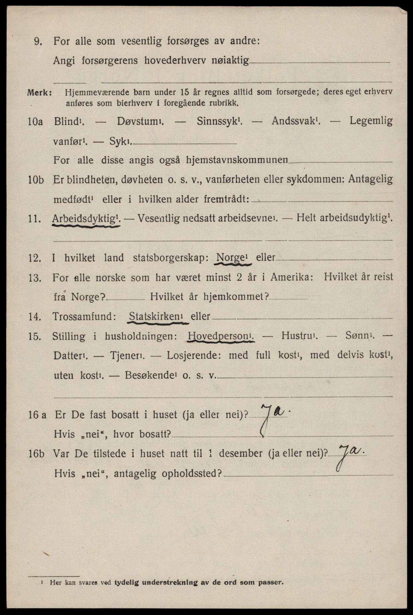 SAKO, 1920 census for Nissedal, 1920, p. 1510