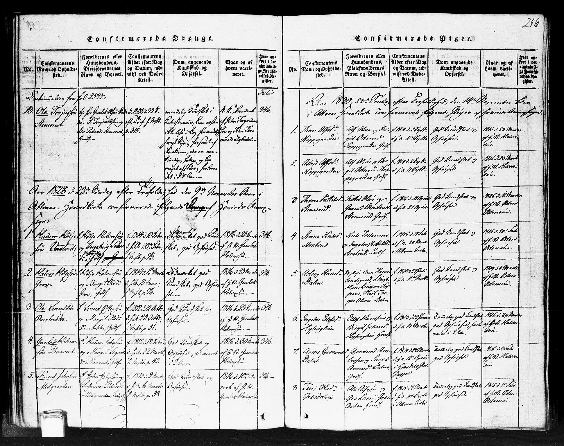 Gransherad kirkebøker, SAKO/A-267/F/Fb/L0002: Parish register (official) no. II 2, 1815-1843, p. 256