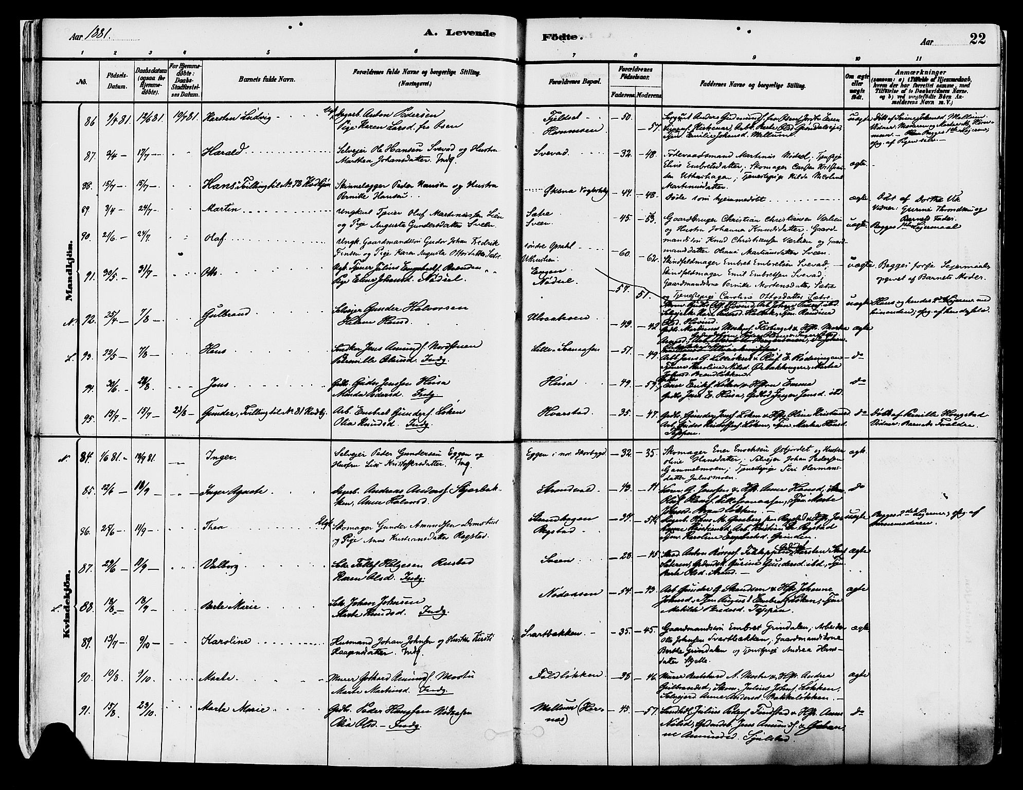 Elverum prestekontor, SAH/PREST-044/H/Ha/Haa/L0013: Parish register (official) no. 13, 1880-1890, p. 22