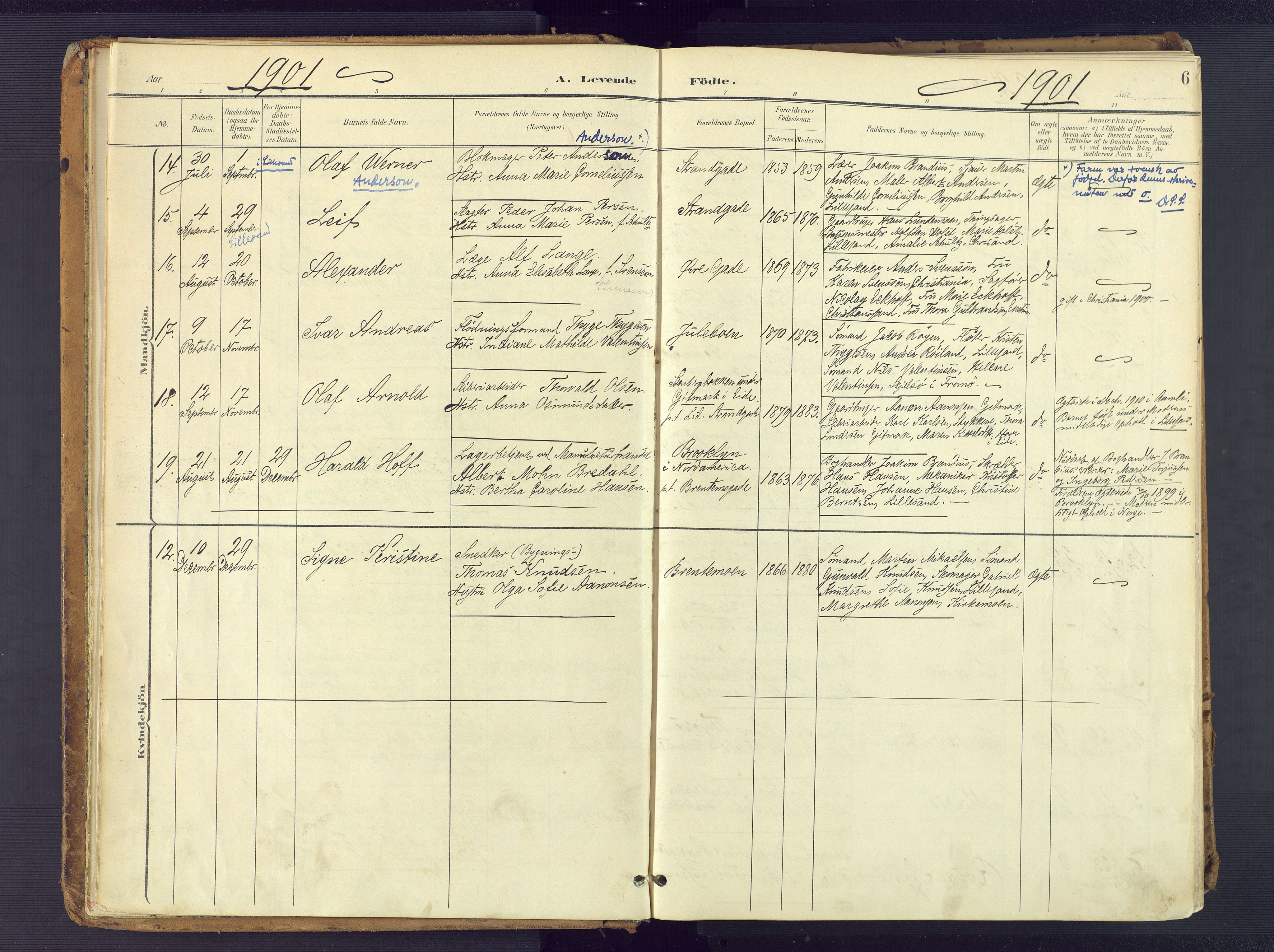 Vestre Moland sokneprestkontor, AV/SAK-1111-0046/F/Fa/Faa/L0002: Parish register (official) no. A 2, 1900-1926, p. 6