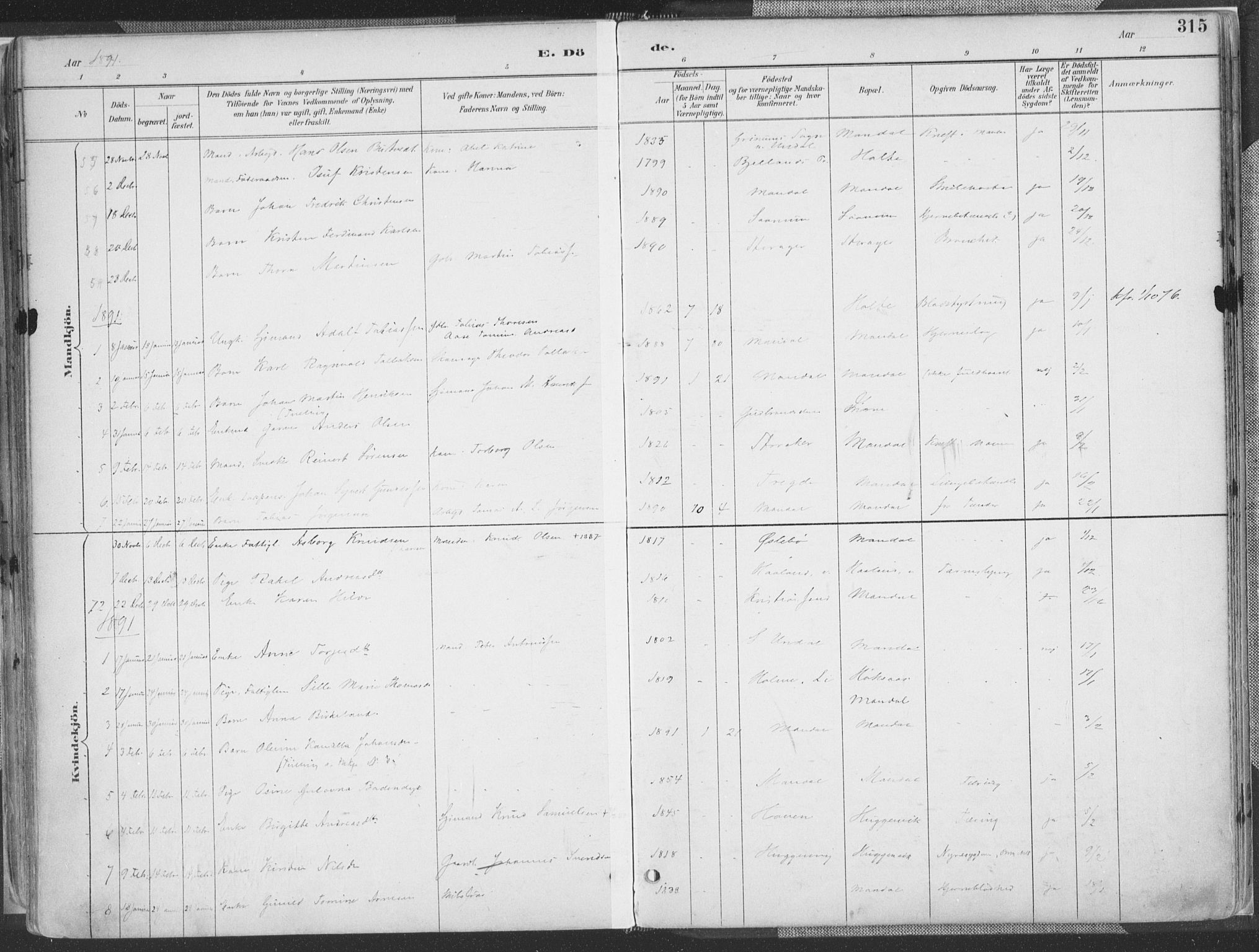 Mandal sokneprestkontor, SAK/1111-0030/F/Fa/Faa/L0018: Parish register (official) no. A 18, 1890-1905, p. 315
