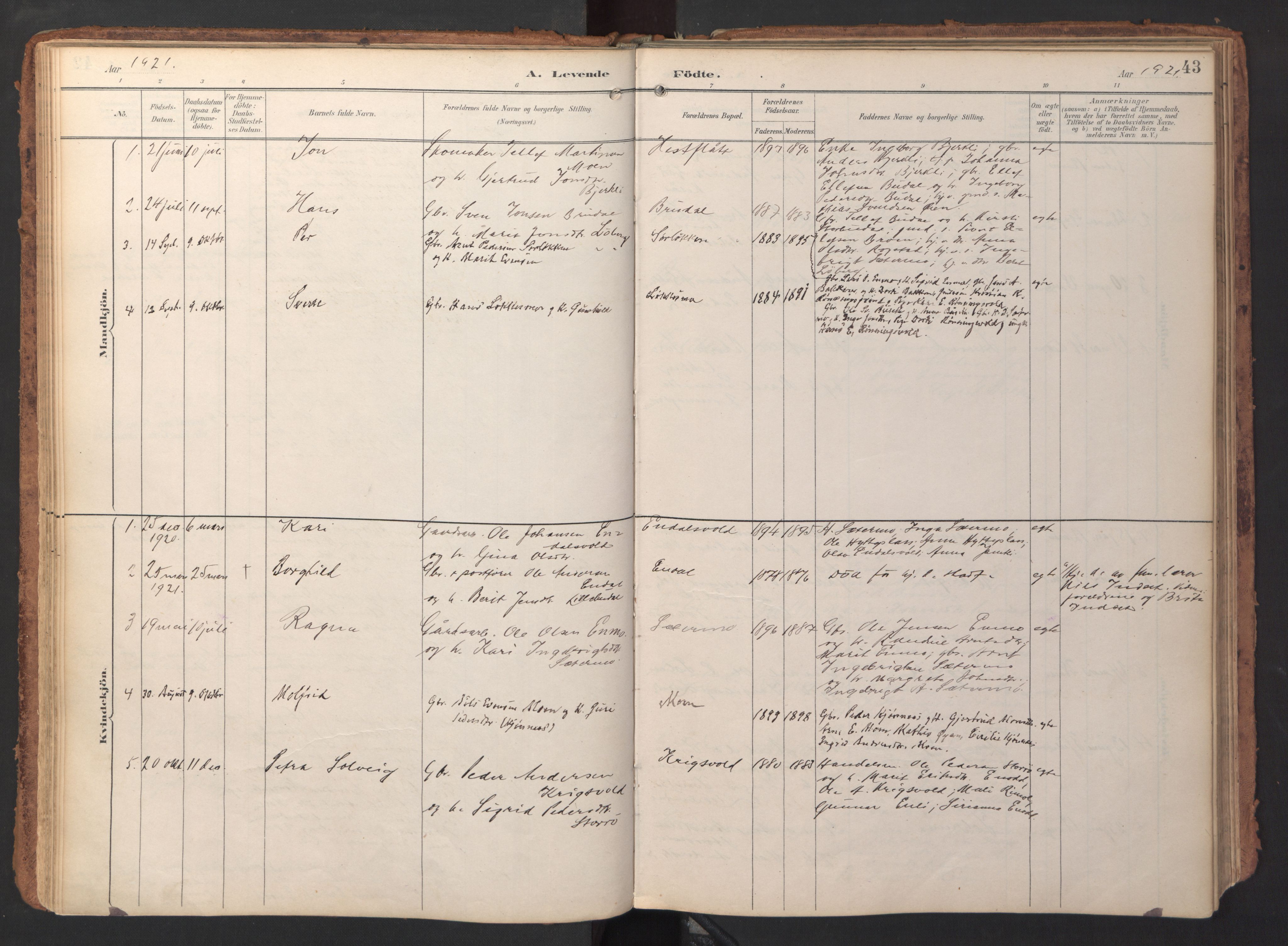 Ministerialprotokoller, klokkerbøker og fødselsregistre - Sør-Trøndelag, SAT/A-1456/690/L1050: Parish register (official) no. 690A01, 1889-1929, p. 43