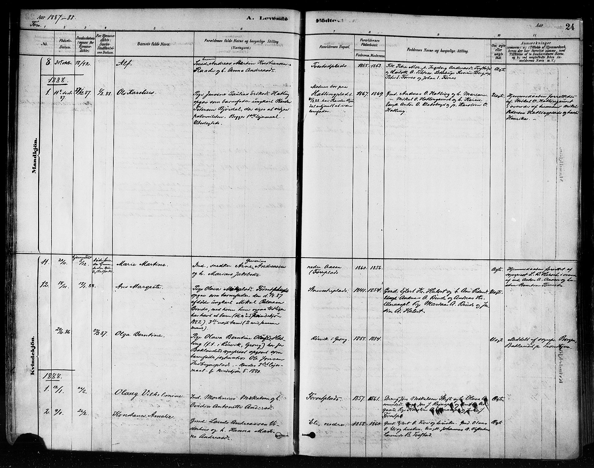 Ministerialprotokoller, klokkerbøker og fødselsregistre - Nord-Trøndelag, SAT/A-1458/746/L0448: Parish register (official) no. 746A07 /1, 1878-1900, p. 24