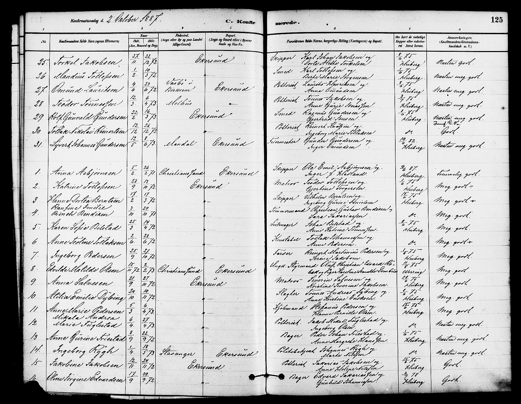 Eigersund sokneprestkontor, AV/SAST-A-101807/S08/L0015: Parish register (official) no. A 15, 1879-1892, p. 125