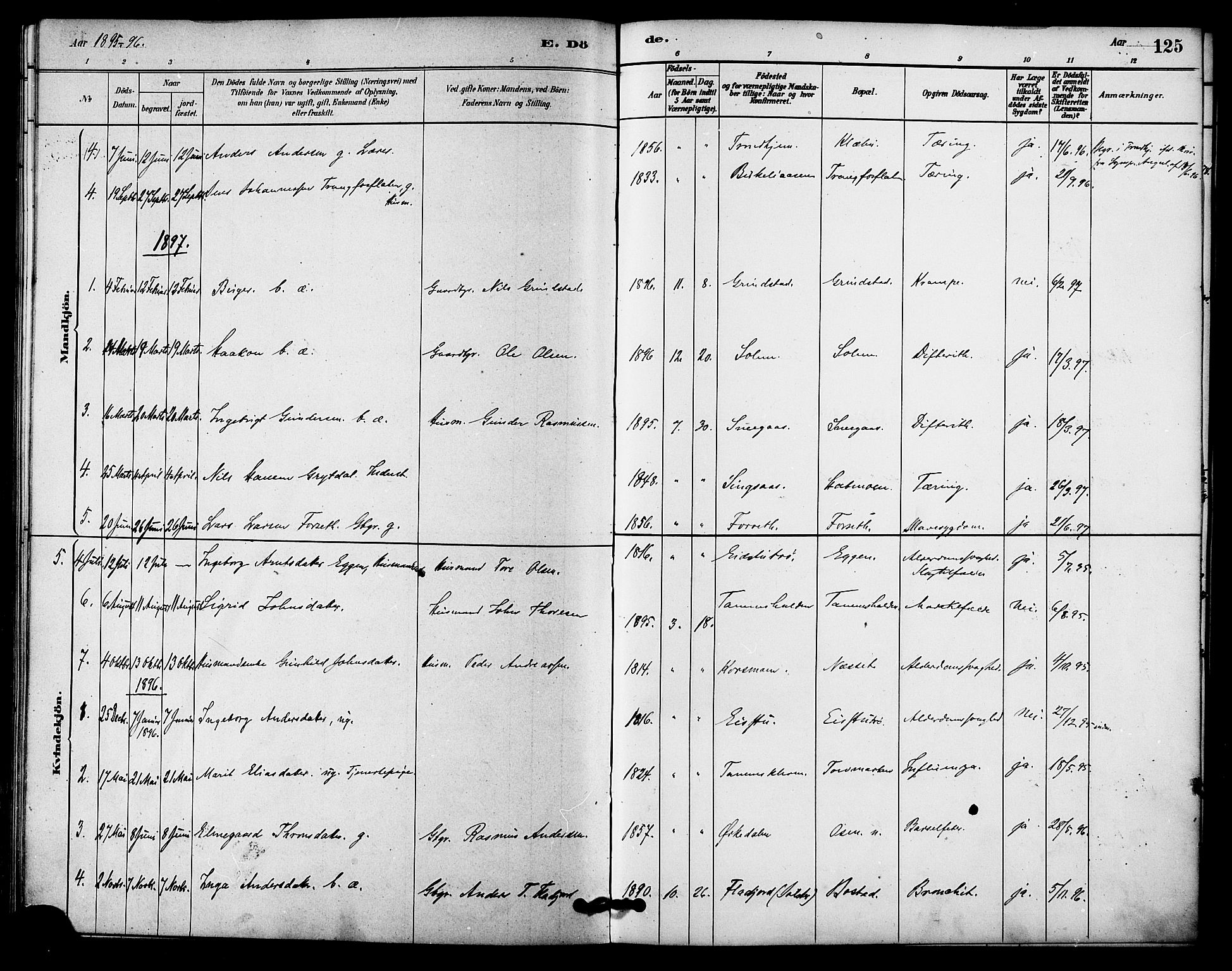 Ministerialprotokoller, klokkerbøker og fødselsregistre - Sør-Trøndelag, SAT/A-1456/618/L0444: Parish register (official) no. 618A07, 1880-1898, p. 125