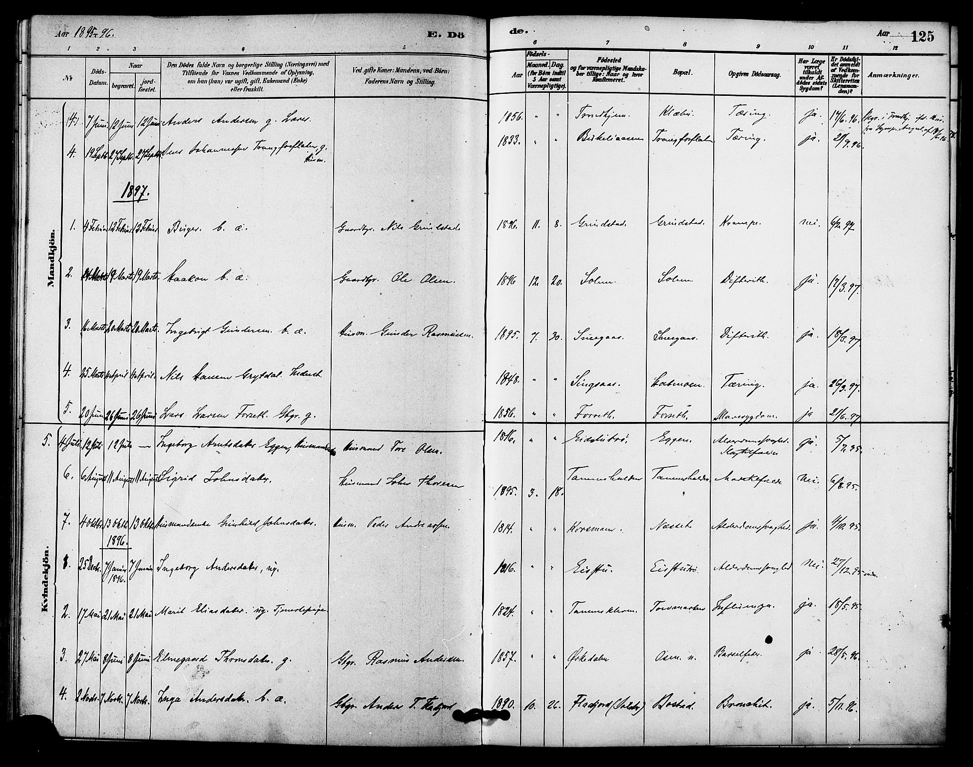 Ministerialprotokoller, klokkerbøker og fødselsregistre - Sør-Trøndelag, AV/SAT-A-1456/618/L0444: Parish register (official) no. 618A07, 1880-1898, p. 125