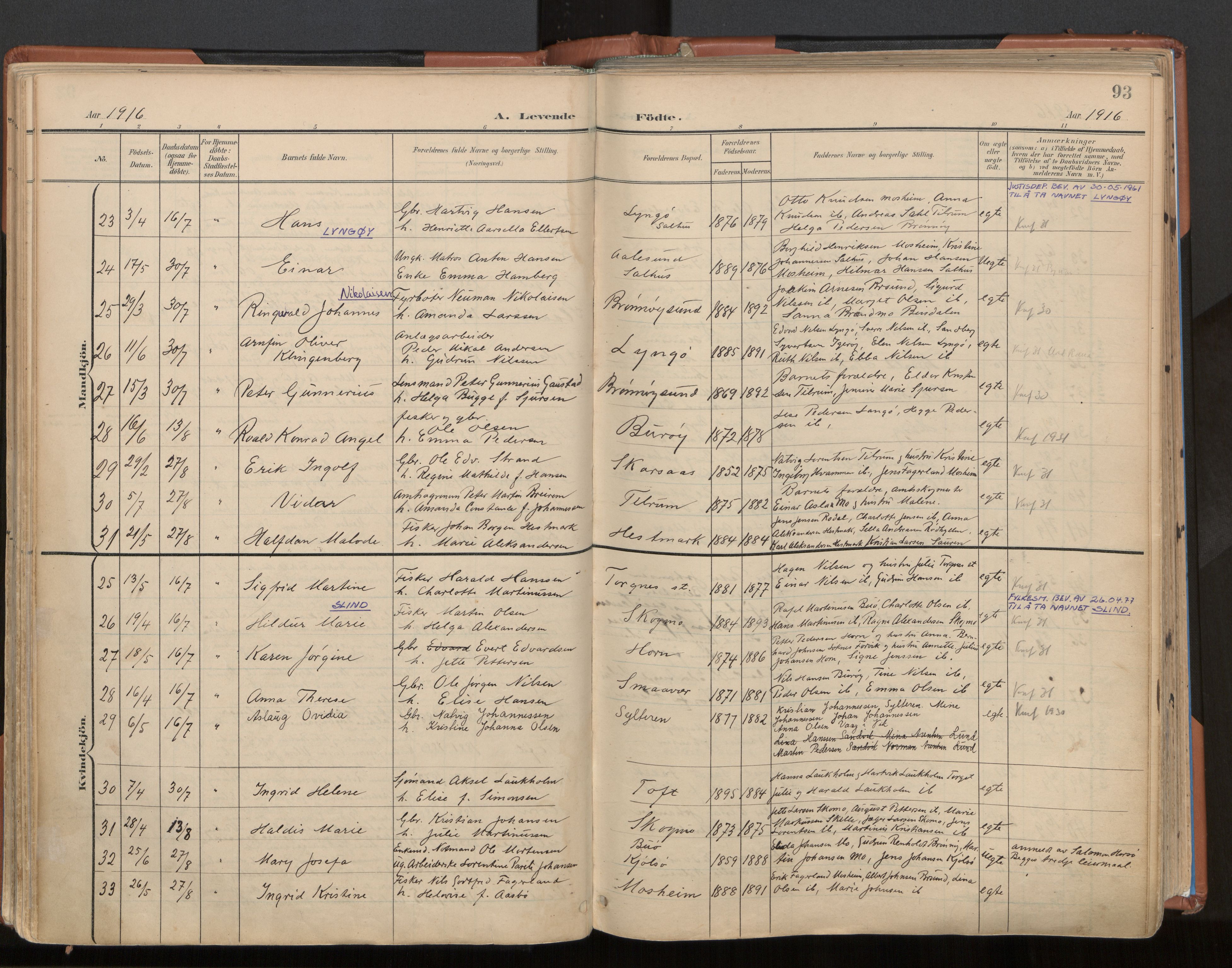 Ministerialprotokoller, klokkerbøker og fødselsregistre - Nordland, SAT/A-1459/813/L0201: Parish register (official) no. 813A11, 1901-1918, p. 93
