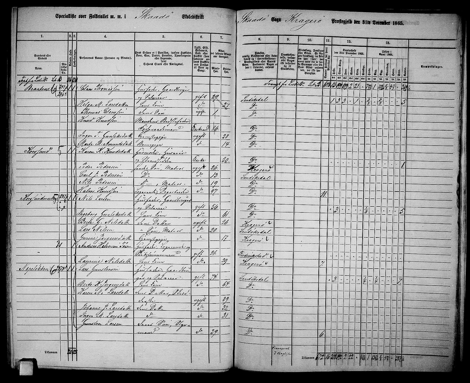 RA, 1865 census for Kragerø/Sannidal og Skåtøy, 1865, p. 204