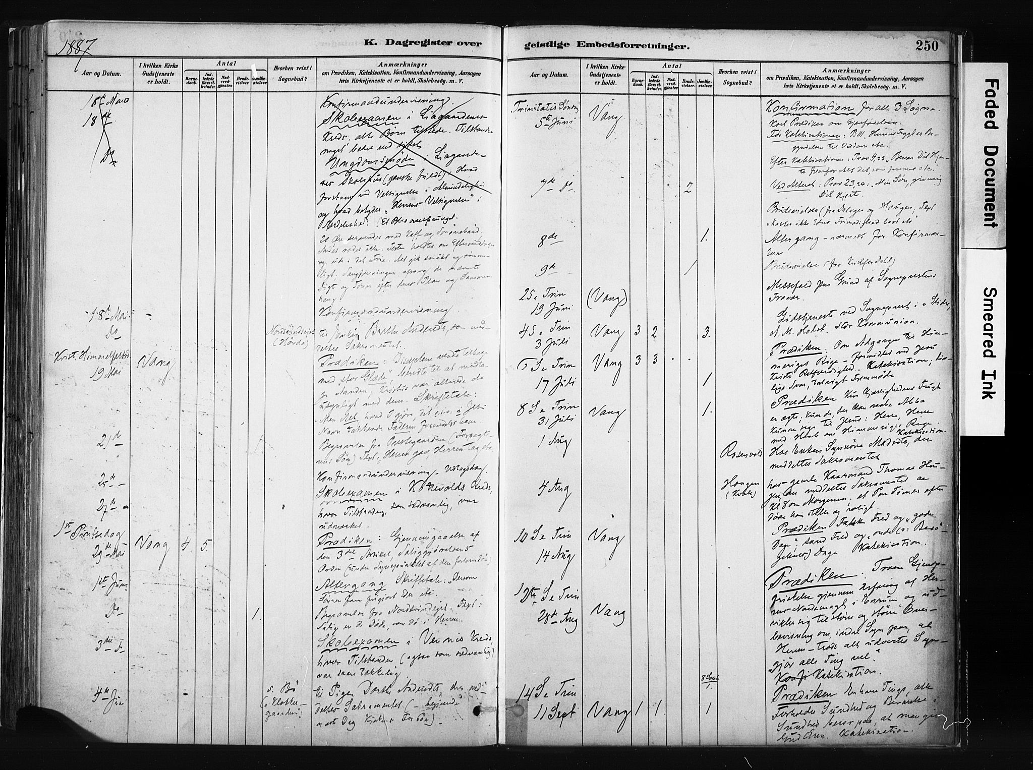 Vang prestekontor, Valdres, AV/SAH-PREST-140/H/Ha/L0008: Parish register (official) no. 8, 1882-1910, p. 250