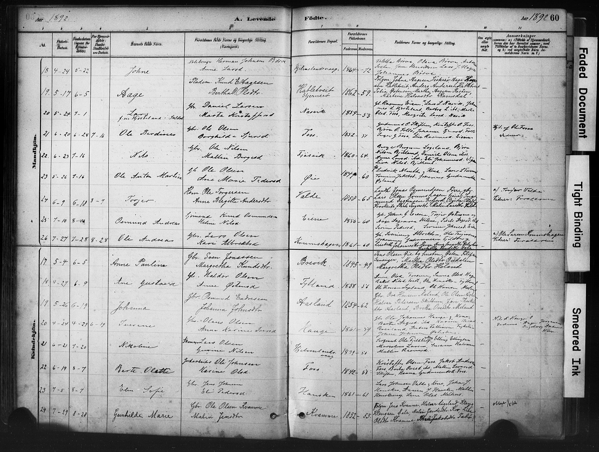 Hjelmeland sokneprestkontor, AV/SAST-A-101843/01/IV/L0014: Parish register (official) no. A 14, 1879-1900, p. 60