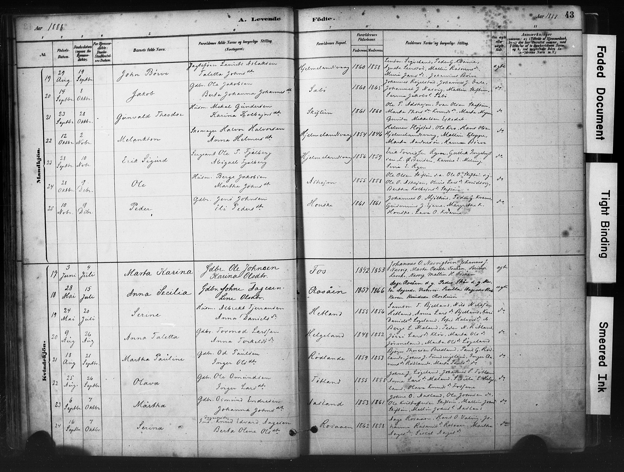 Hjelmeland sokneprestkontor, AV/SAST-A-101843/01/IV/L0014: Parish register (official) no. A 14, 1879-1900, p. 43