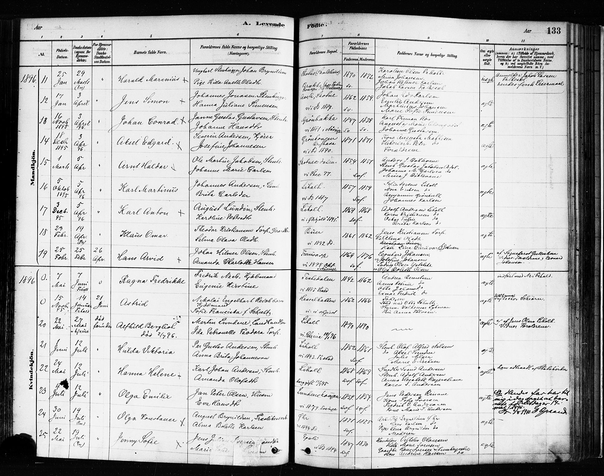 Idd prestekontor Kirkebøker, SAO/A-10911/F/Fc/L0006a: Parish register (official) no. III 6A, 1878-1903, p. 133