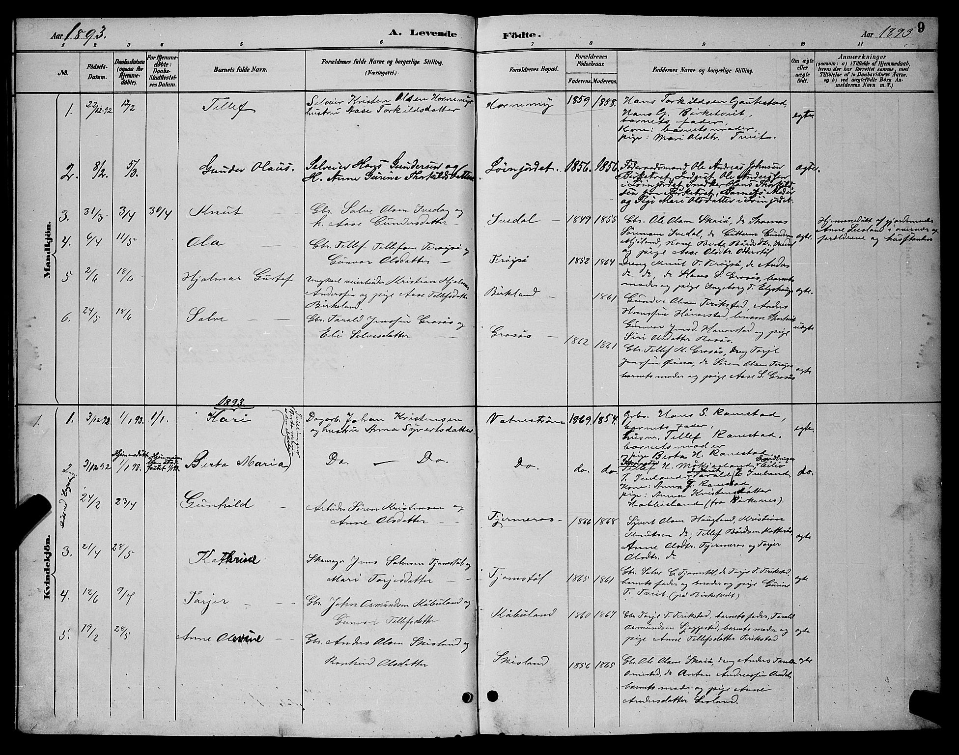 Evje sokneprestkontor, AV/SAK-1111-0008/F/Fb/Fbc/L0004: Parish register (copy) no. B 4, 1890-1900, p. 9