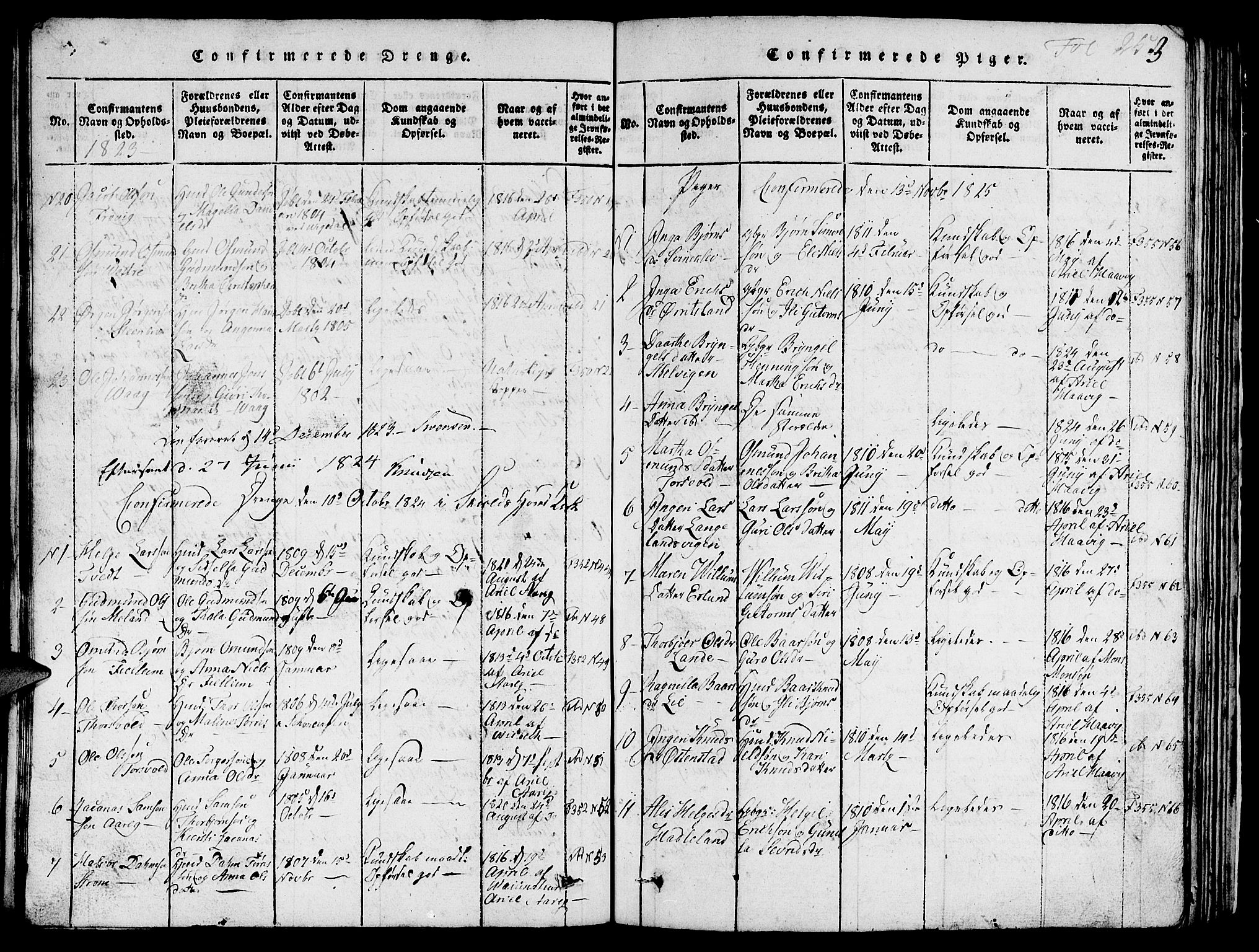 Skjold sokneprestkontor, AV/SAST-A-101847/H/Ha/Hab/L0001: Parish register (copy) no. B 1, 1815-1835, p. 253