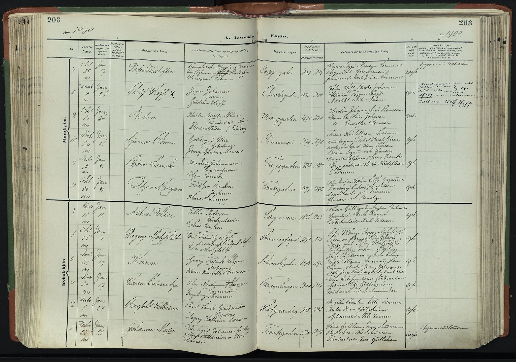 Bragernes kirkebøker, AV/SAKO-A-6/F/Fb/L0009: Parish register (official) no. II 9, 1902-1911, p. 203