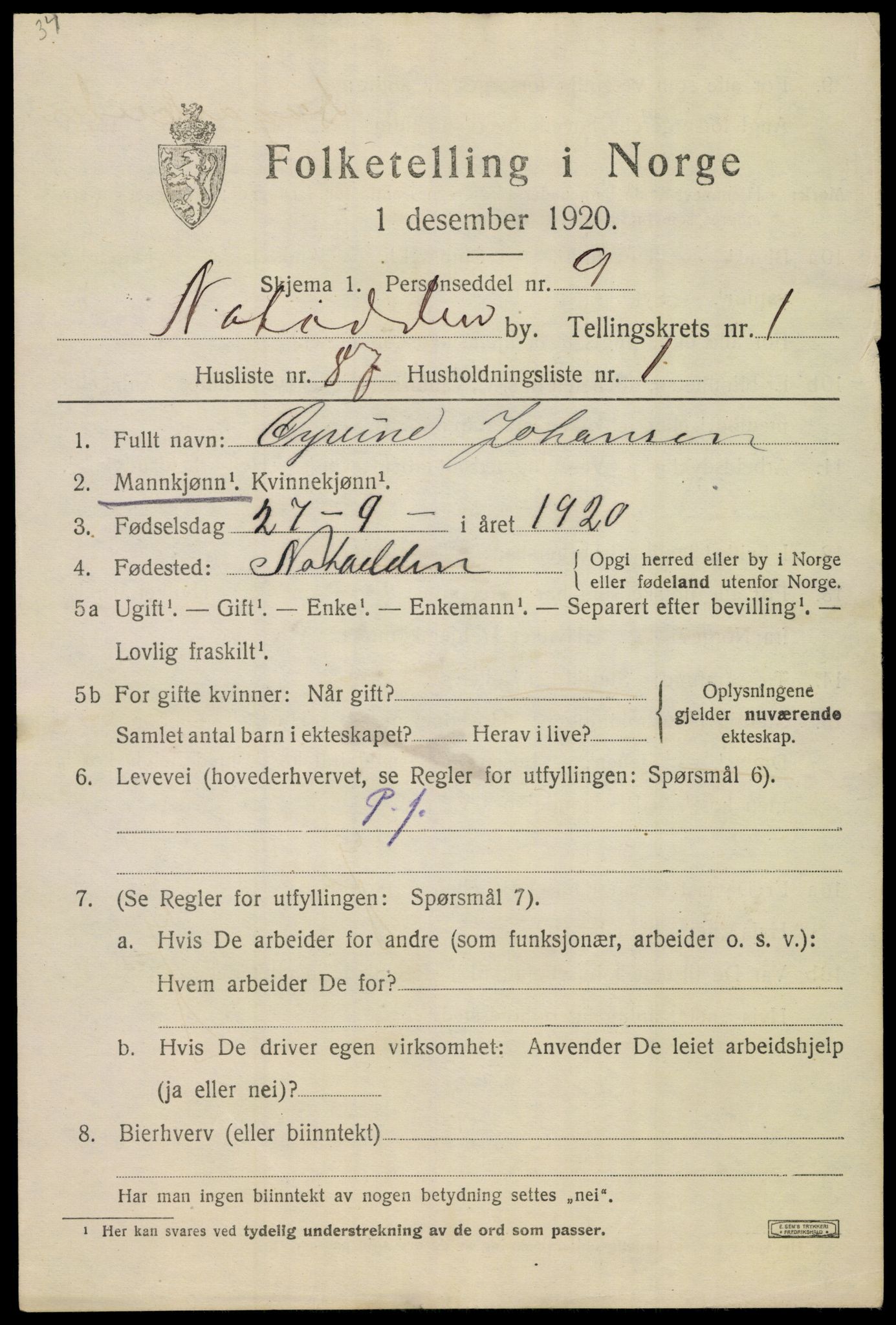 SAKO, 1920 census for Notodden, 1920, p. 6564